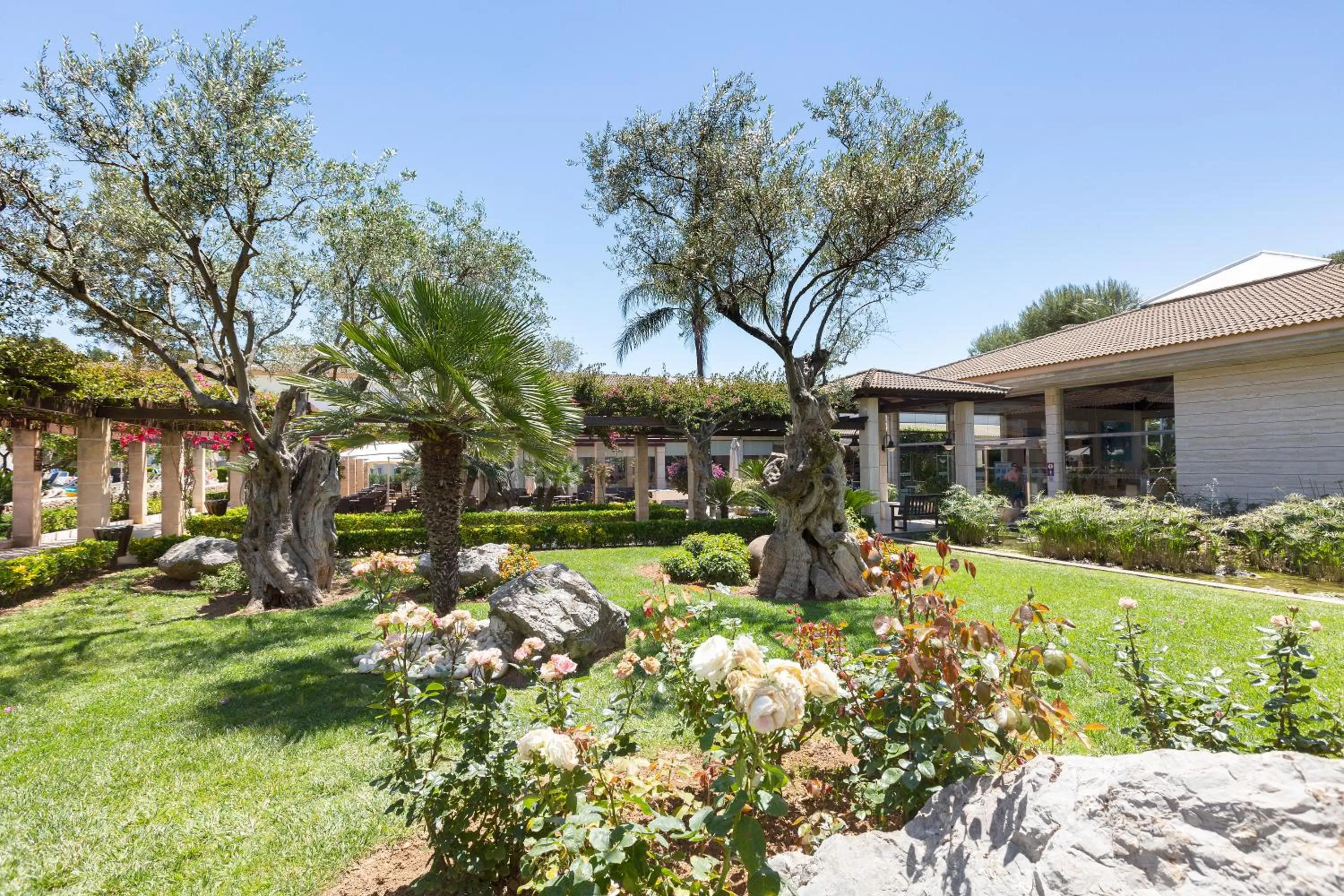 Garden in Mar Hotels Playa Mar & Spa