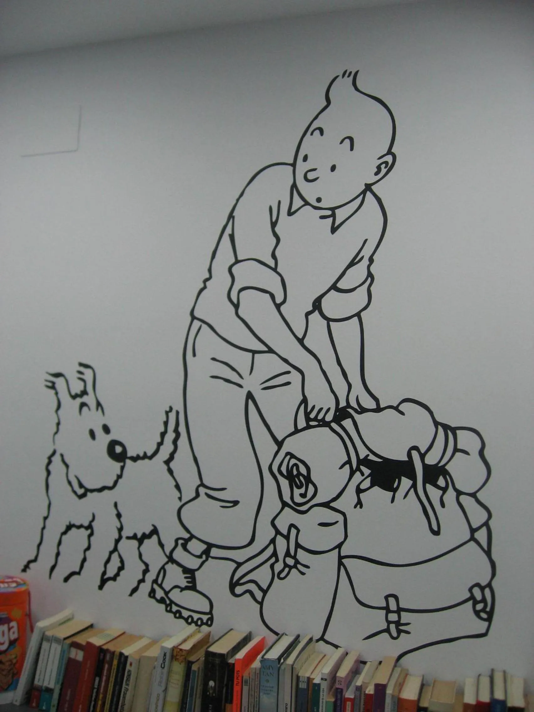 Library in Hostelscat