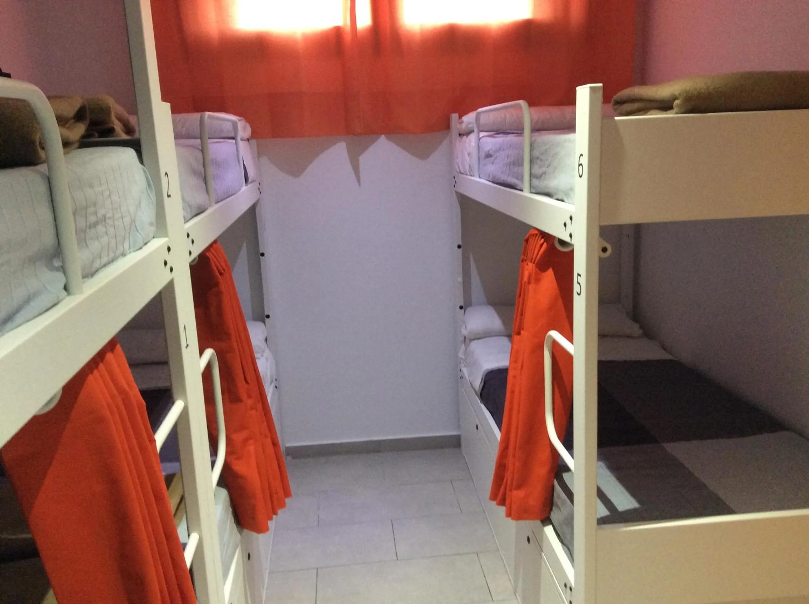 Photo of the whole room in Hostelscat