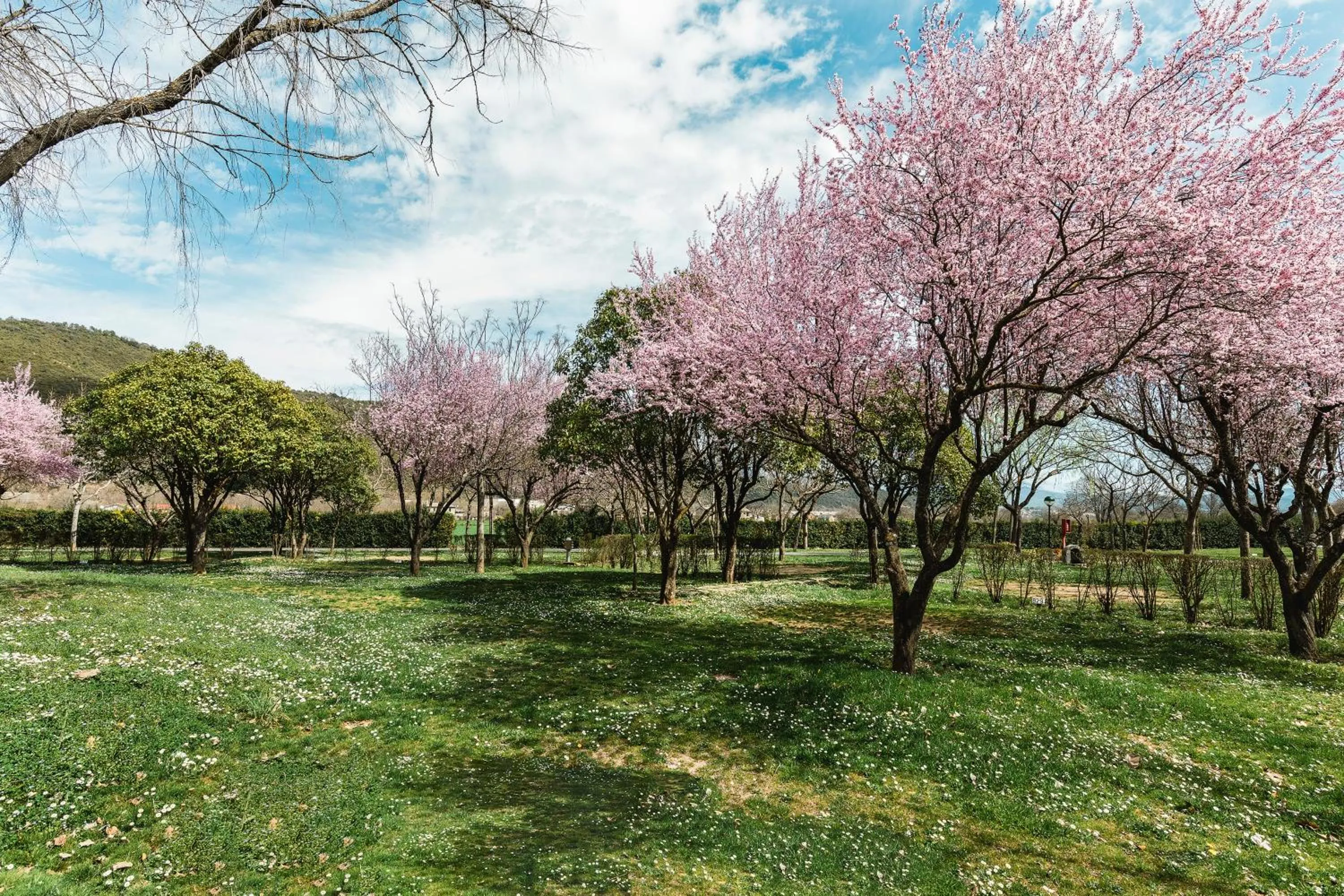 Natural landscape in wecamp Pirineos