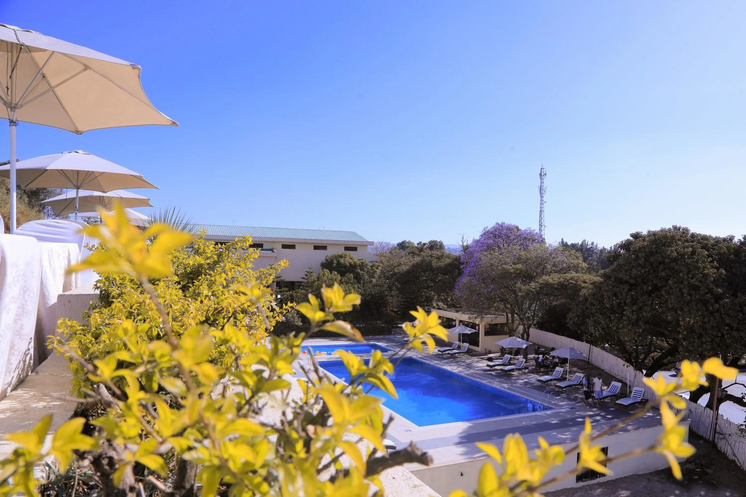 Swimming pool in Haile Resort-Gondar