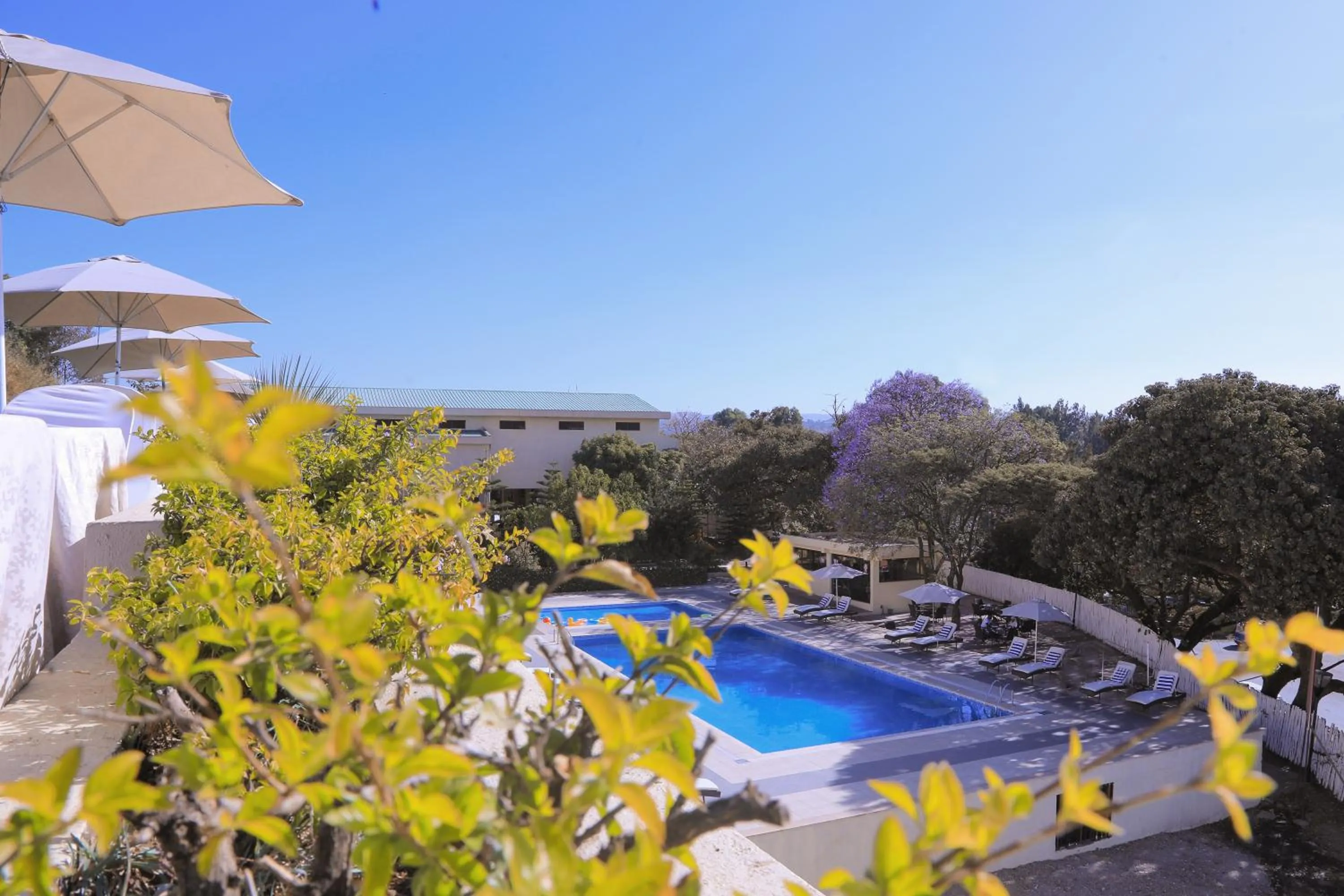 Swimming pool in Haile Resort-Gondar