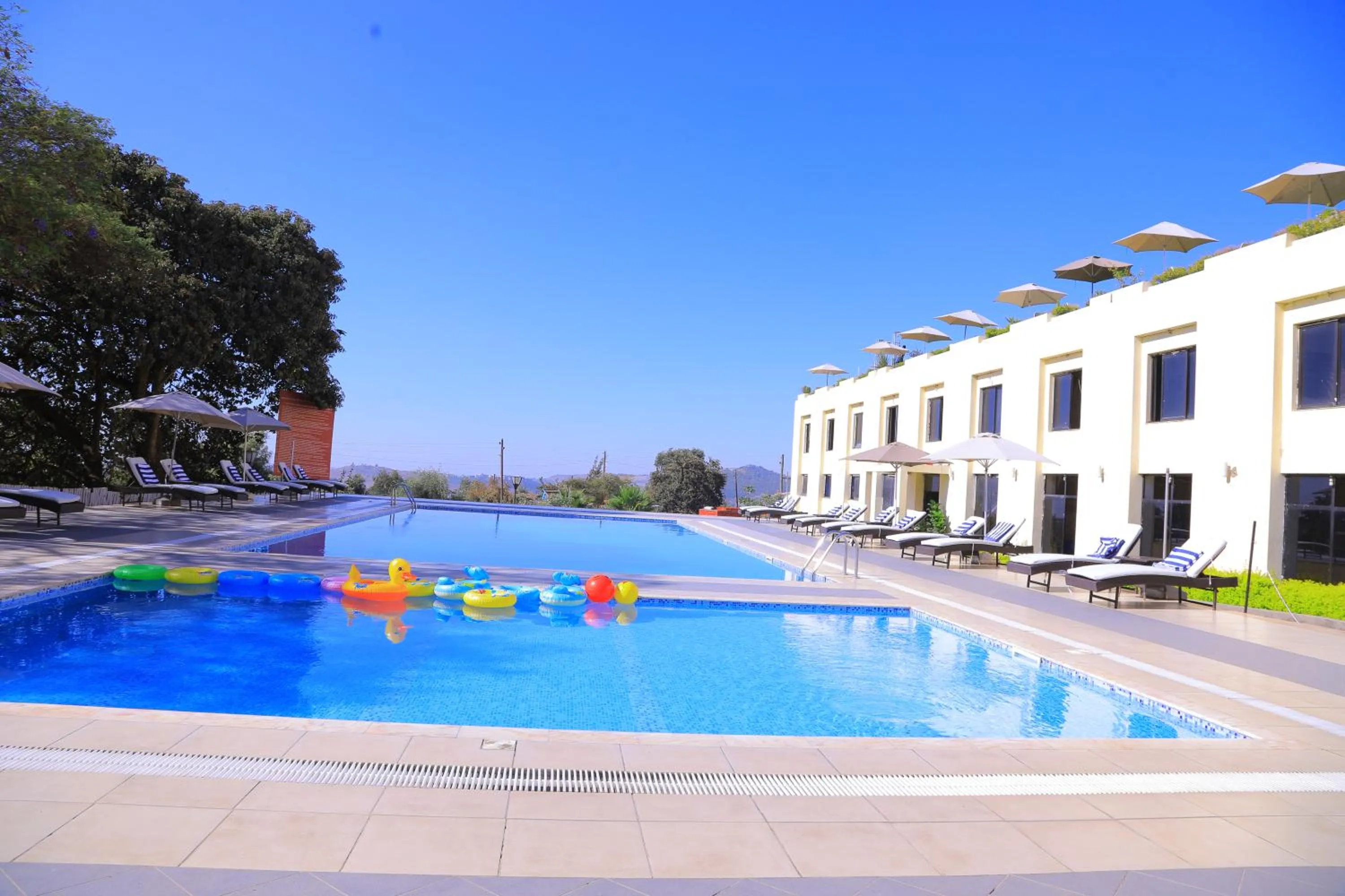 Swimming pool in Haile Resort-Gondar