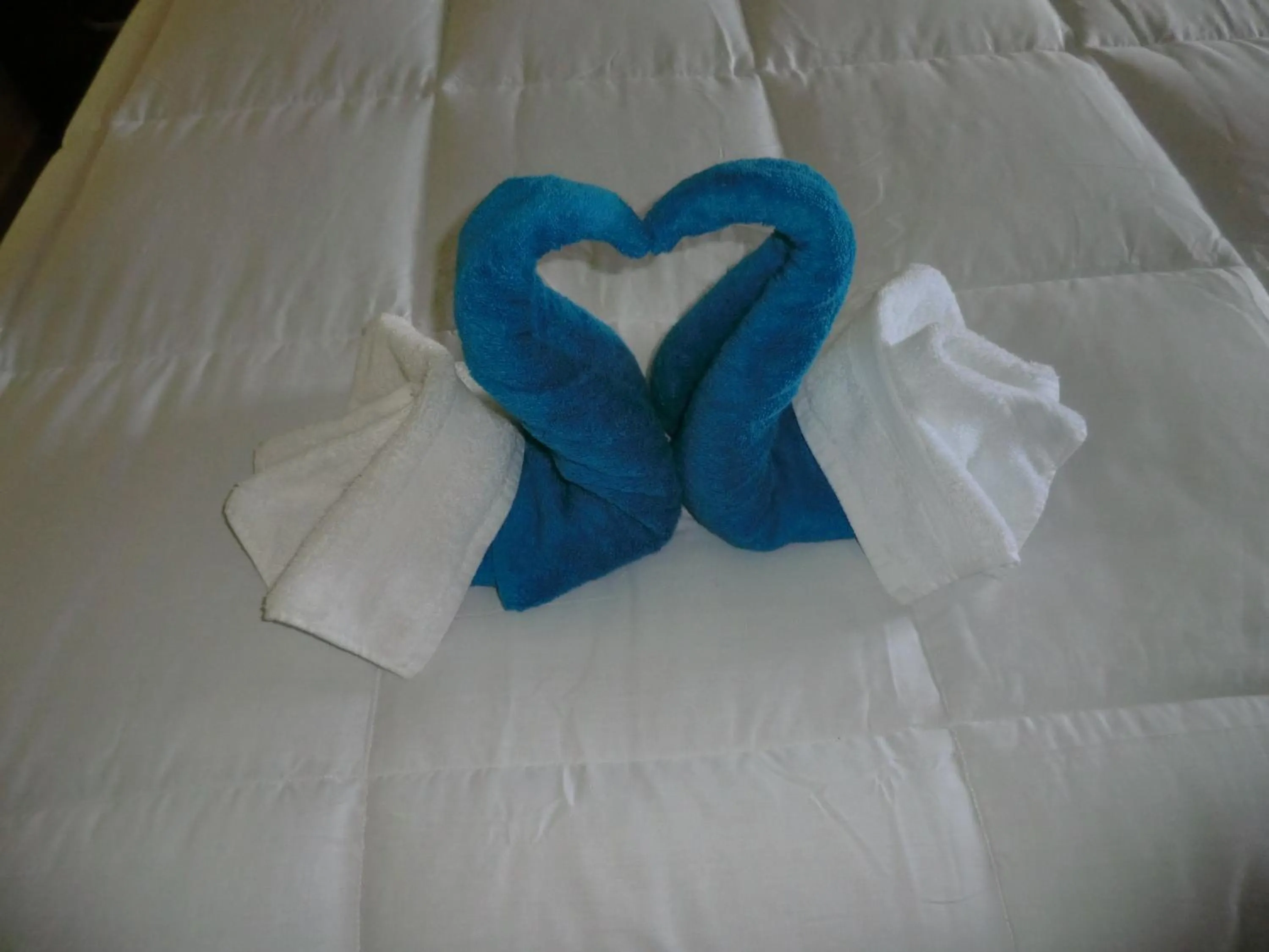 Other, Bed in PG Quality Inn