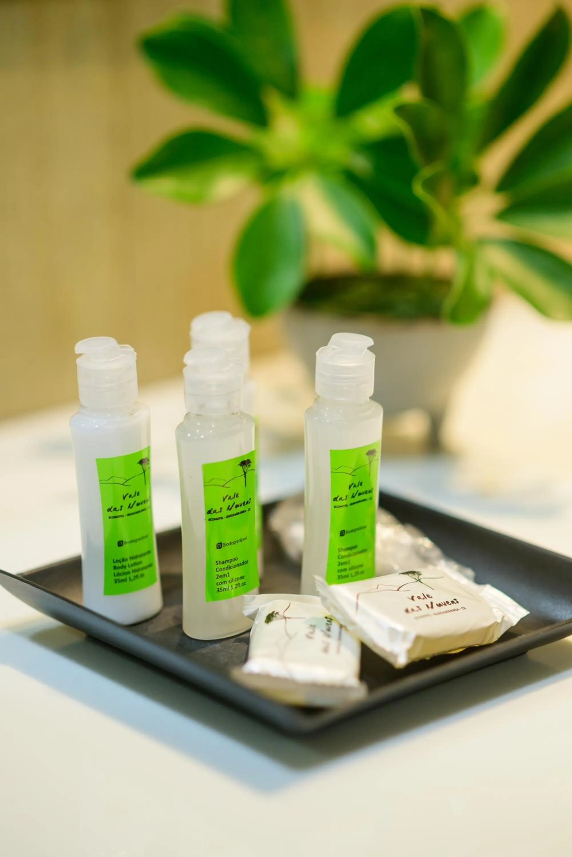 Hotel Vale das Nuvens