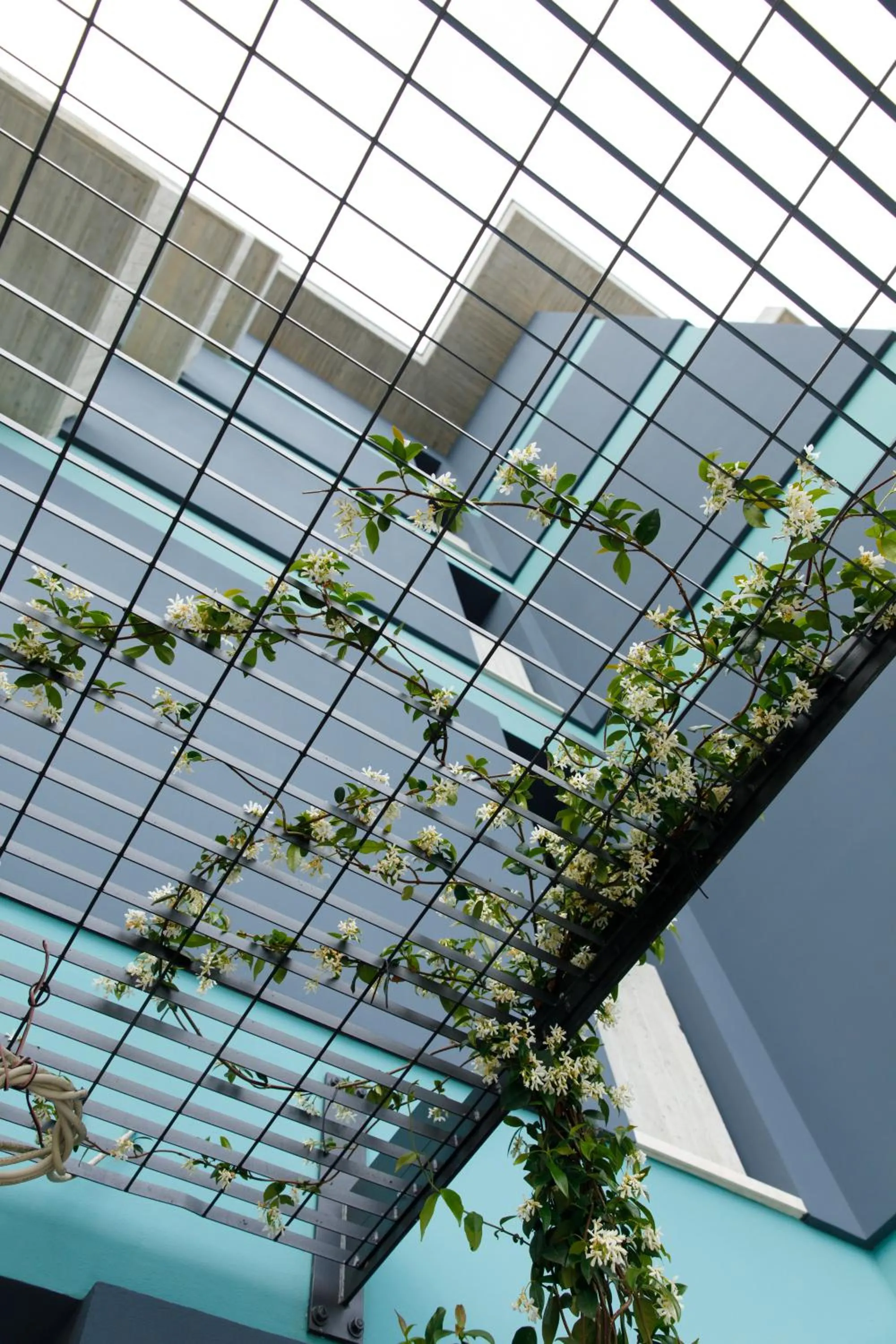 Property building in Buzë Boutique Hotel