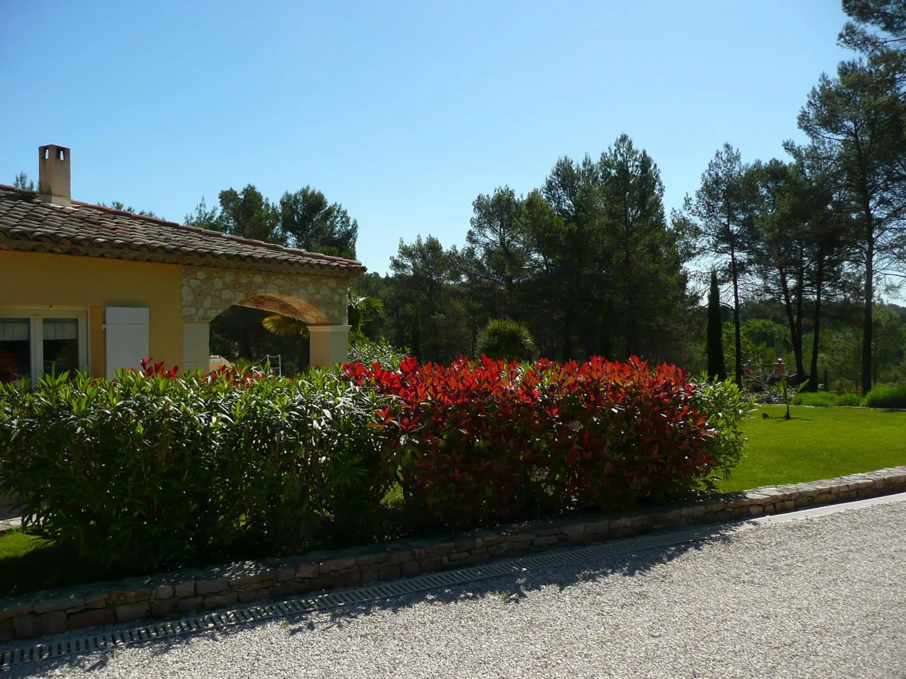 Garden in Les Pitounus