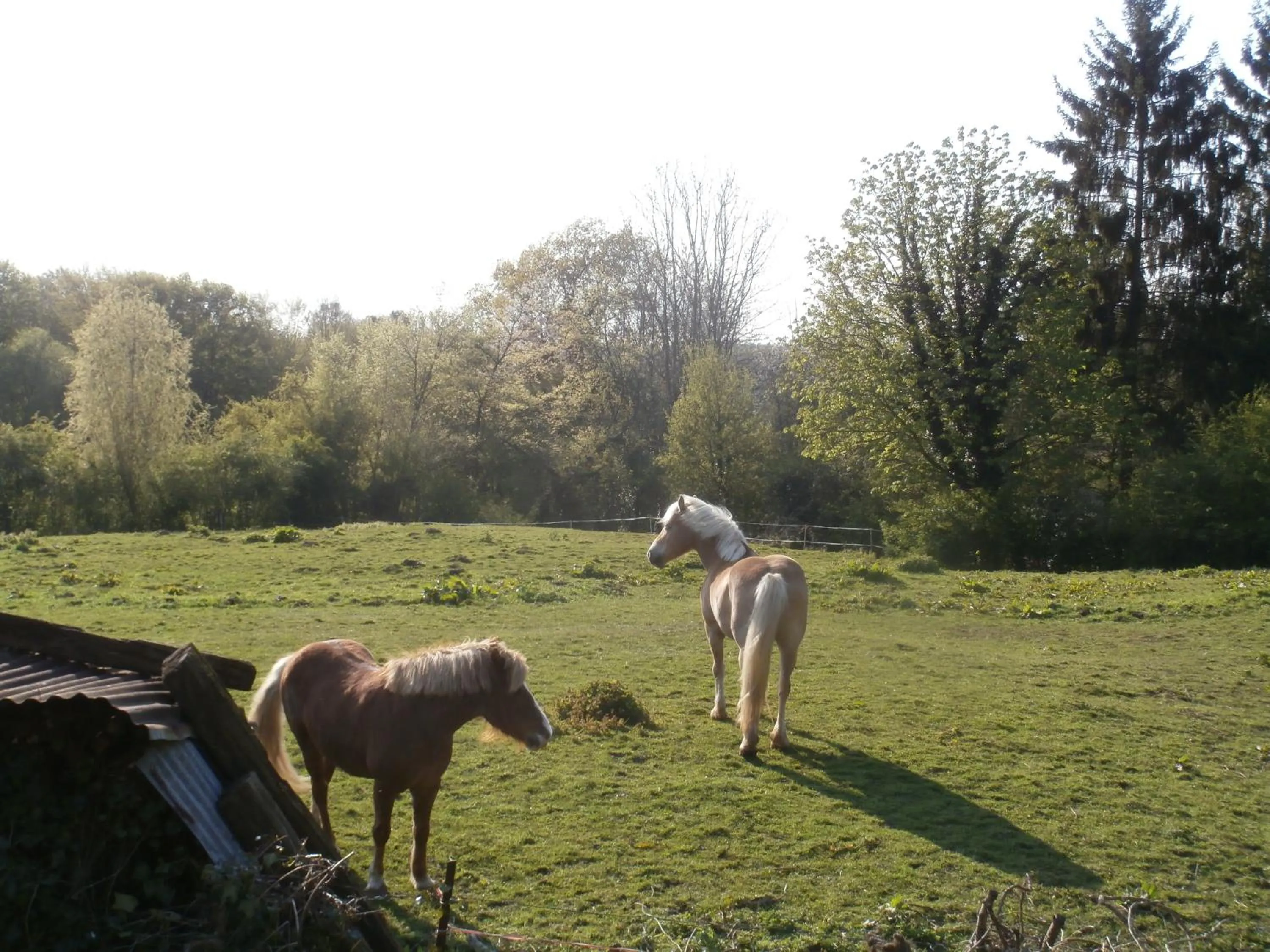 View (from property/room) in Chambre d'hôtes L'Ermite