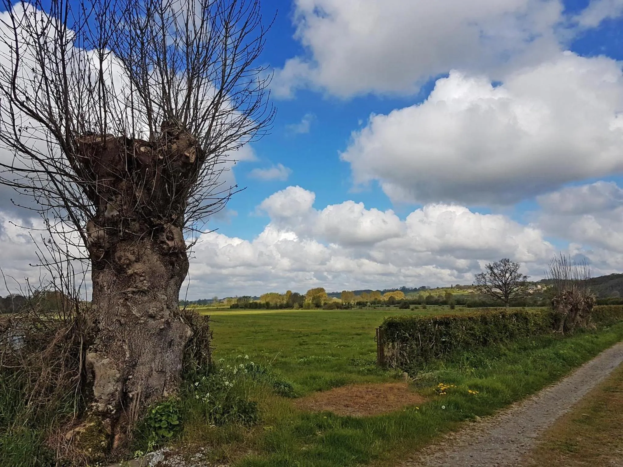 Spring in Chambre d'hôtes L'Ermite
