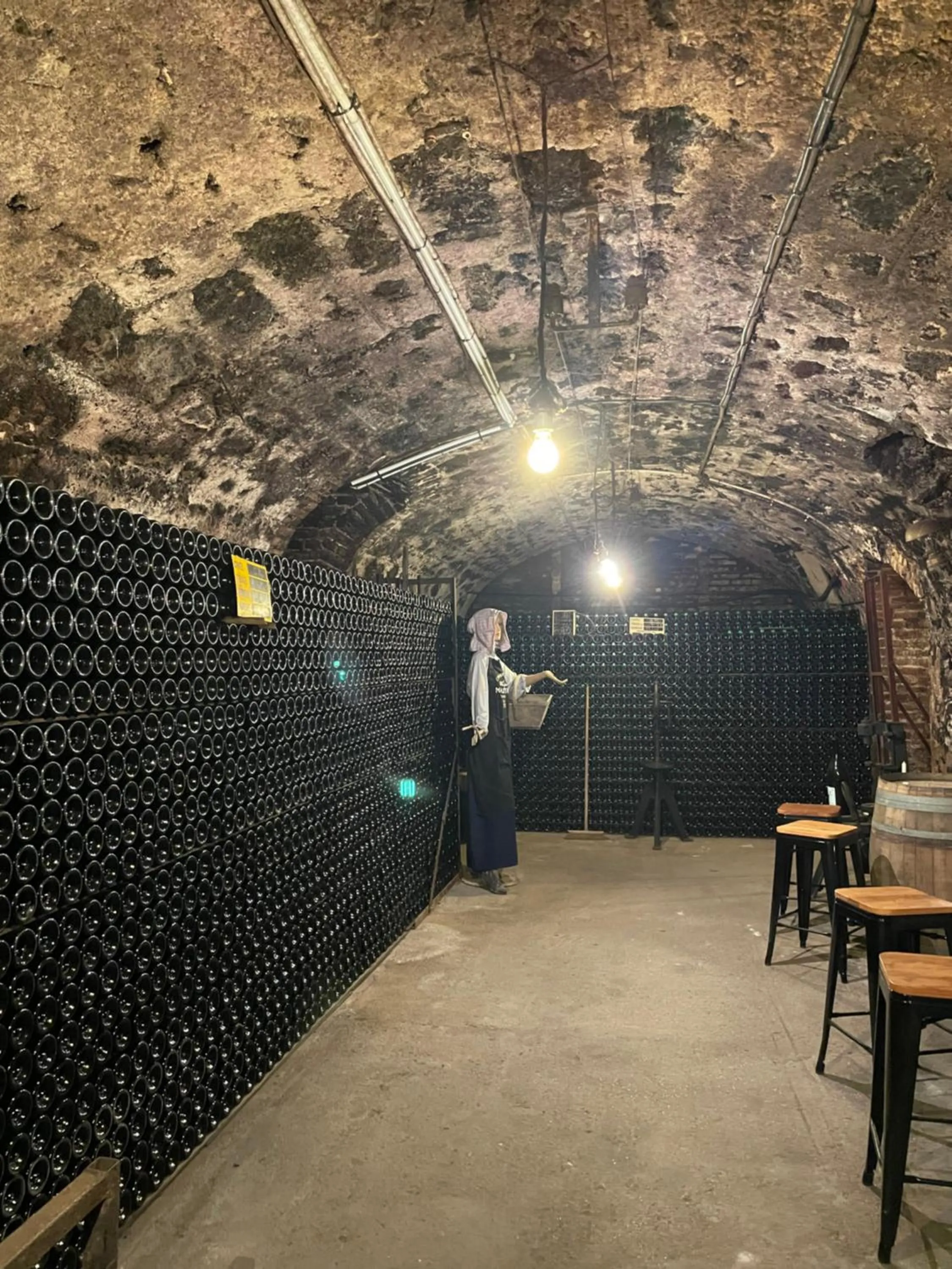 Activities in Champagne Philippe Martin