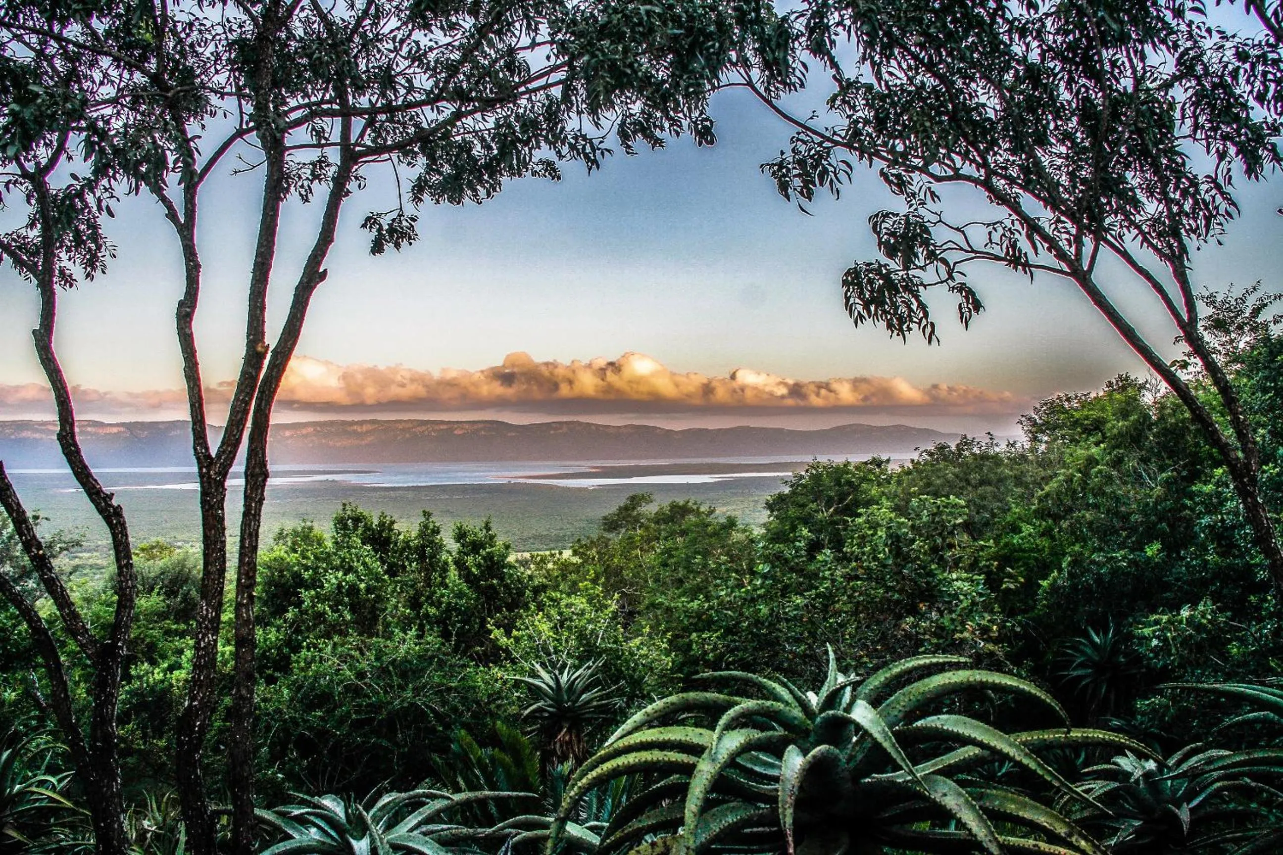 Shayamoya Tiger Fishing and Game Lodge