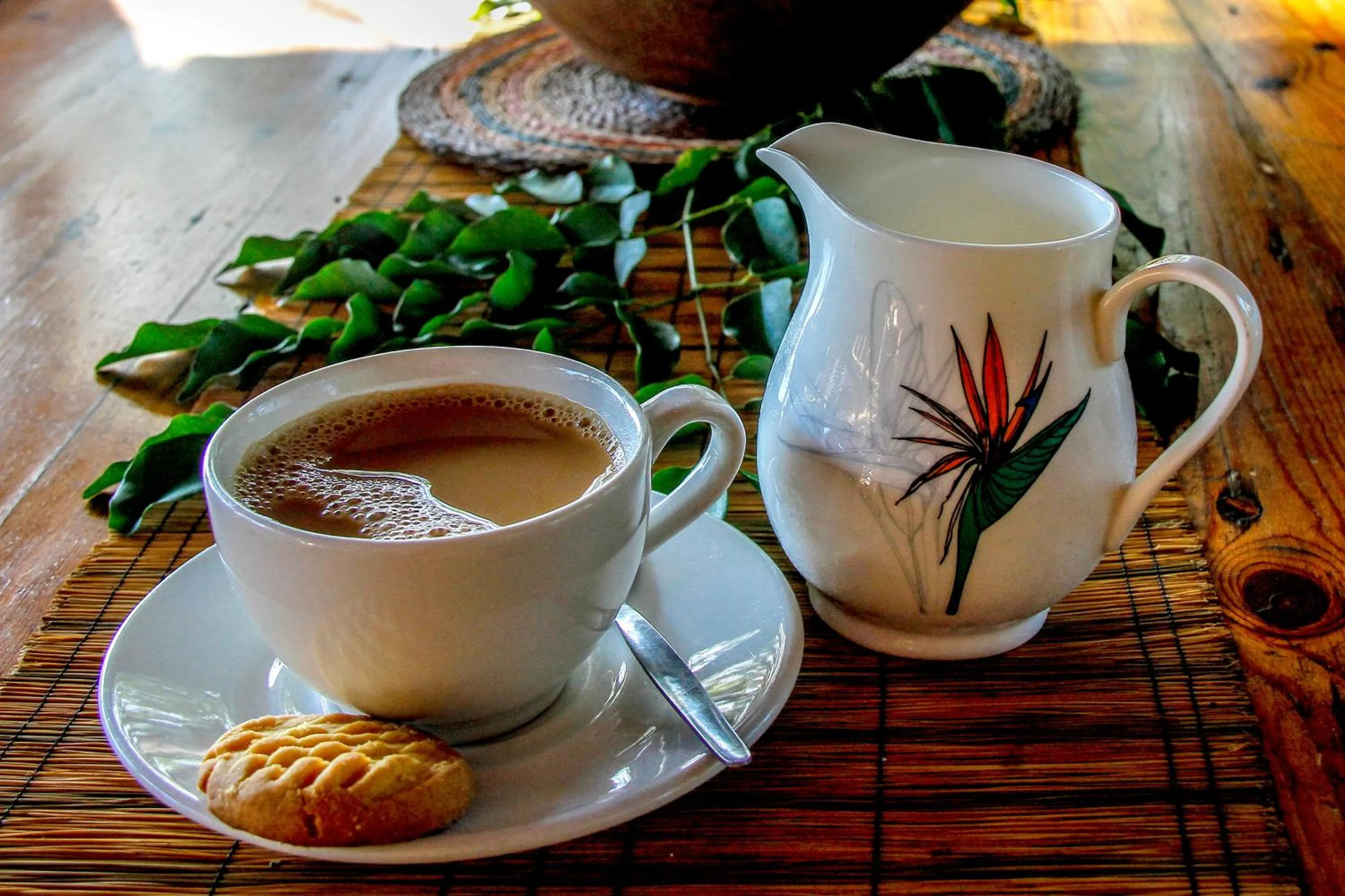 Shayamoya Tiger Fishing and Game Lodge