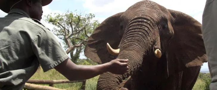 Shayamoya Tiger Fishing and Game Lodge