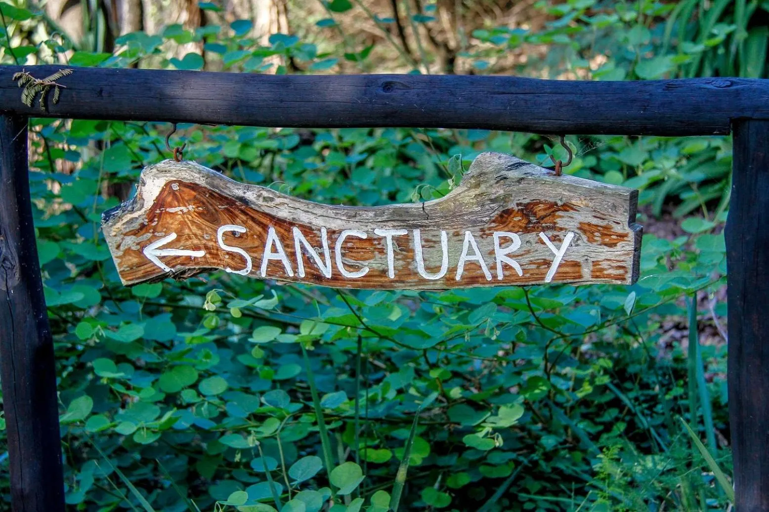 Shayamoya Tiger Fishing and Game Lodge