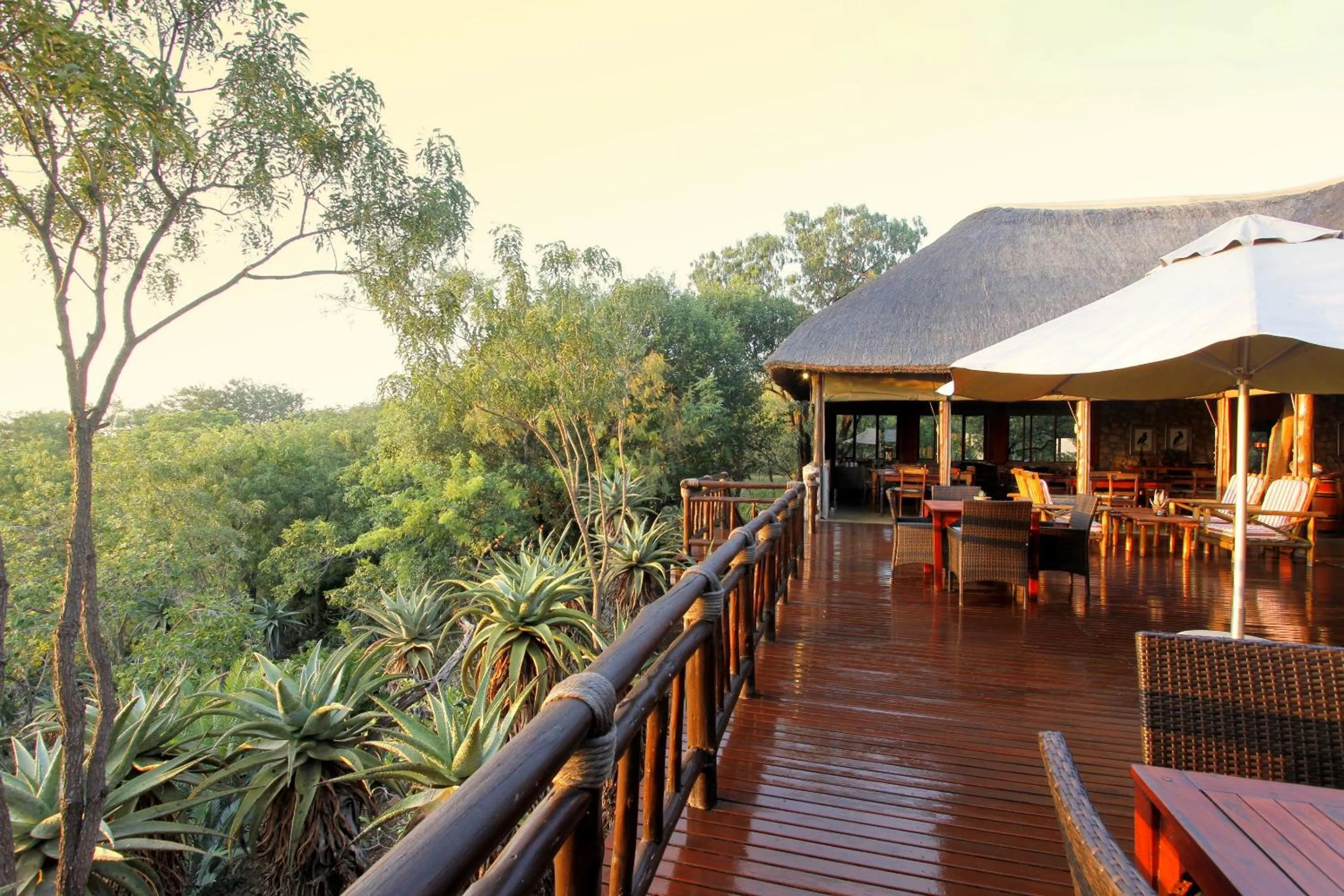 Balcony/Terrace in Shayamoya Tiger Fishing and Game Lodge