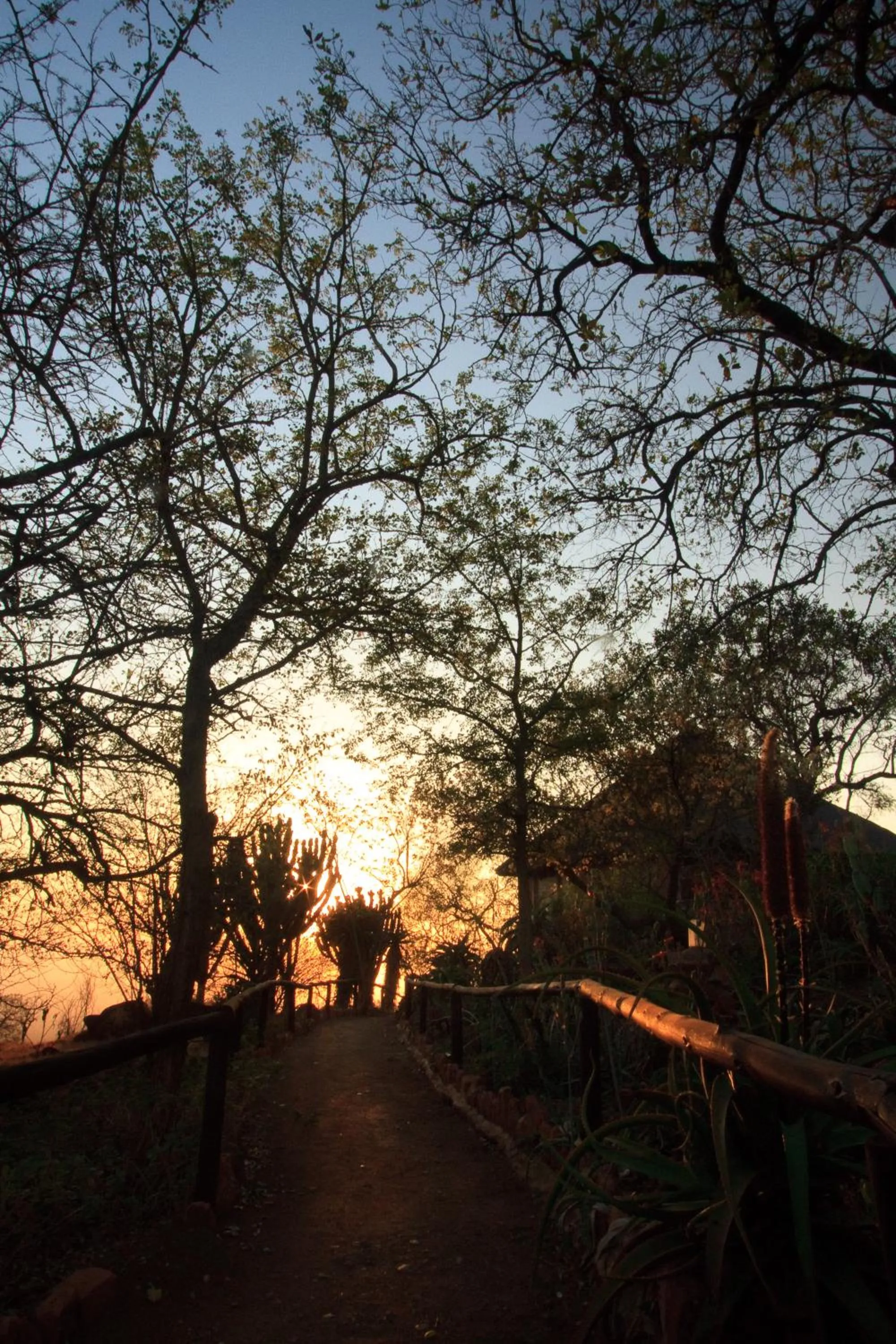 Shayamoya Tiger Fishing and Game Lodge