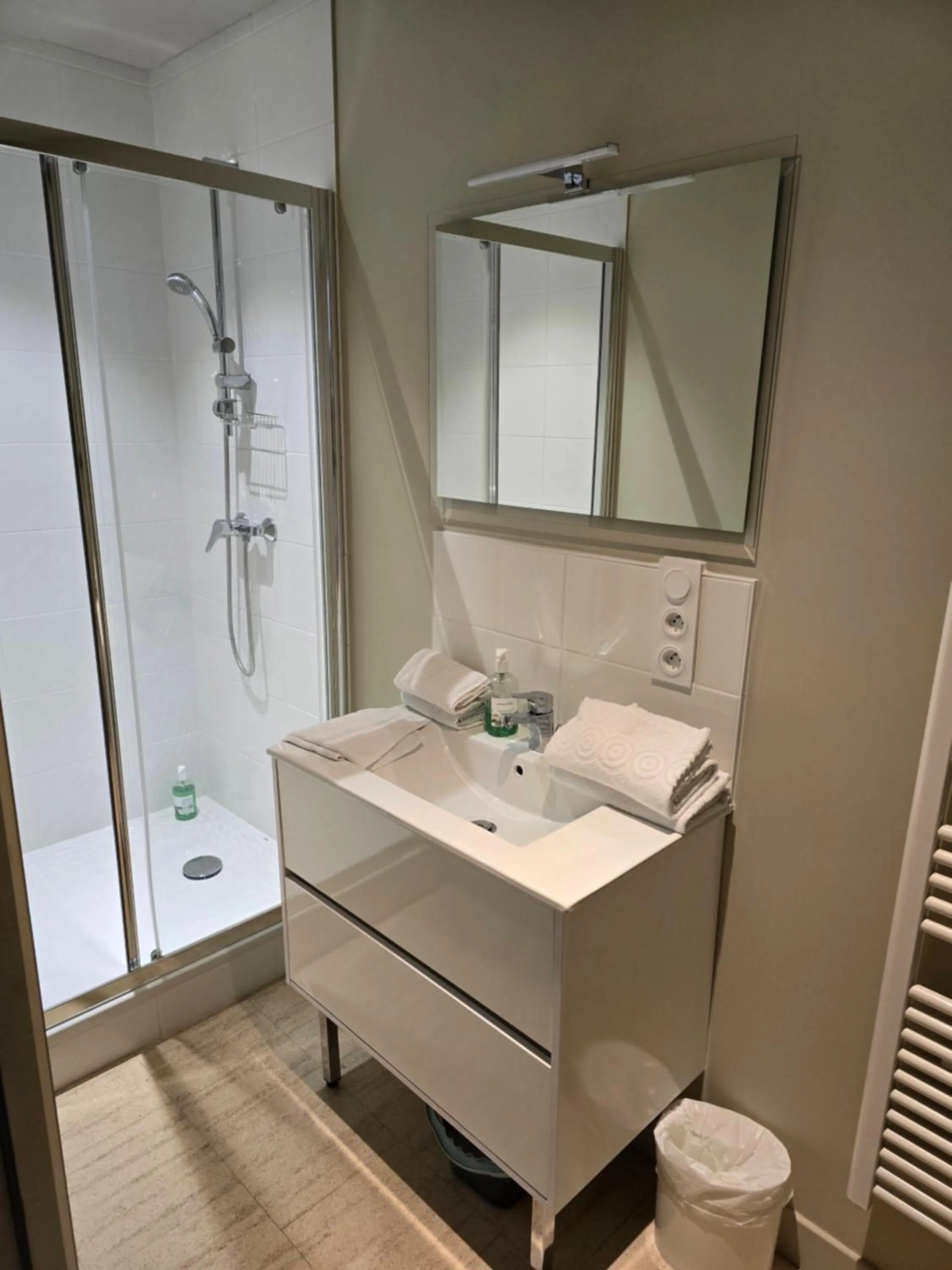 Bathroom in Au Loup Historic Apartments