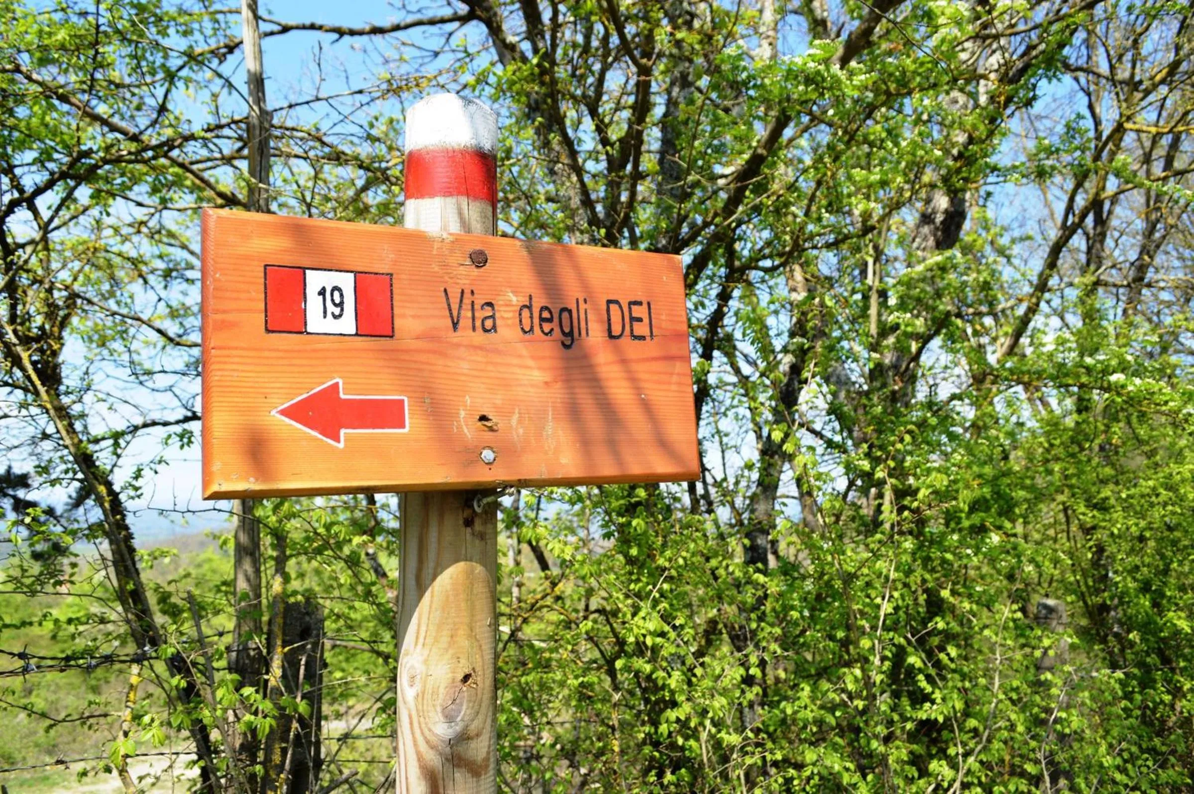 Natural landscape in Camping Village Mugello Verde