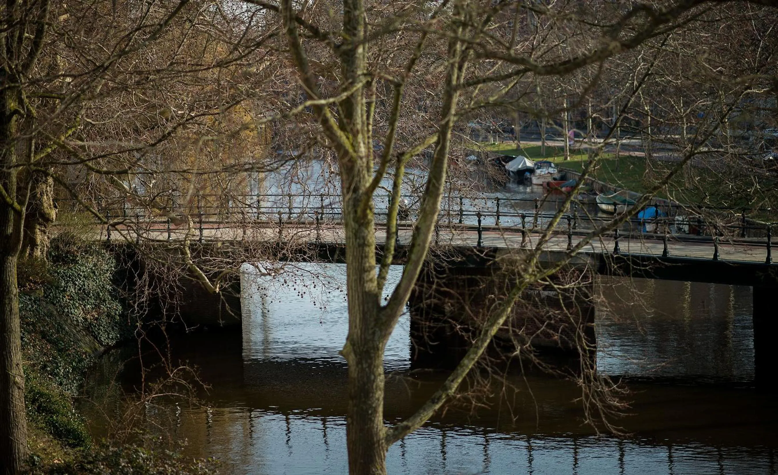 Neighbourhood in Spinoza Suites