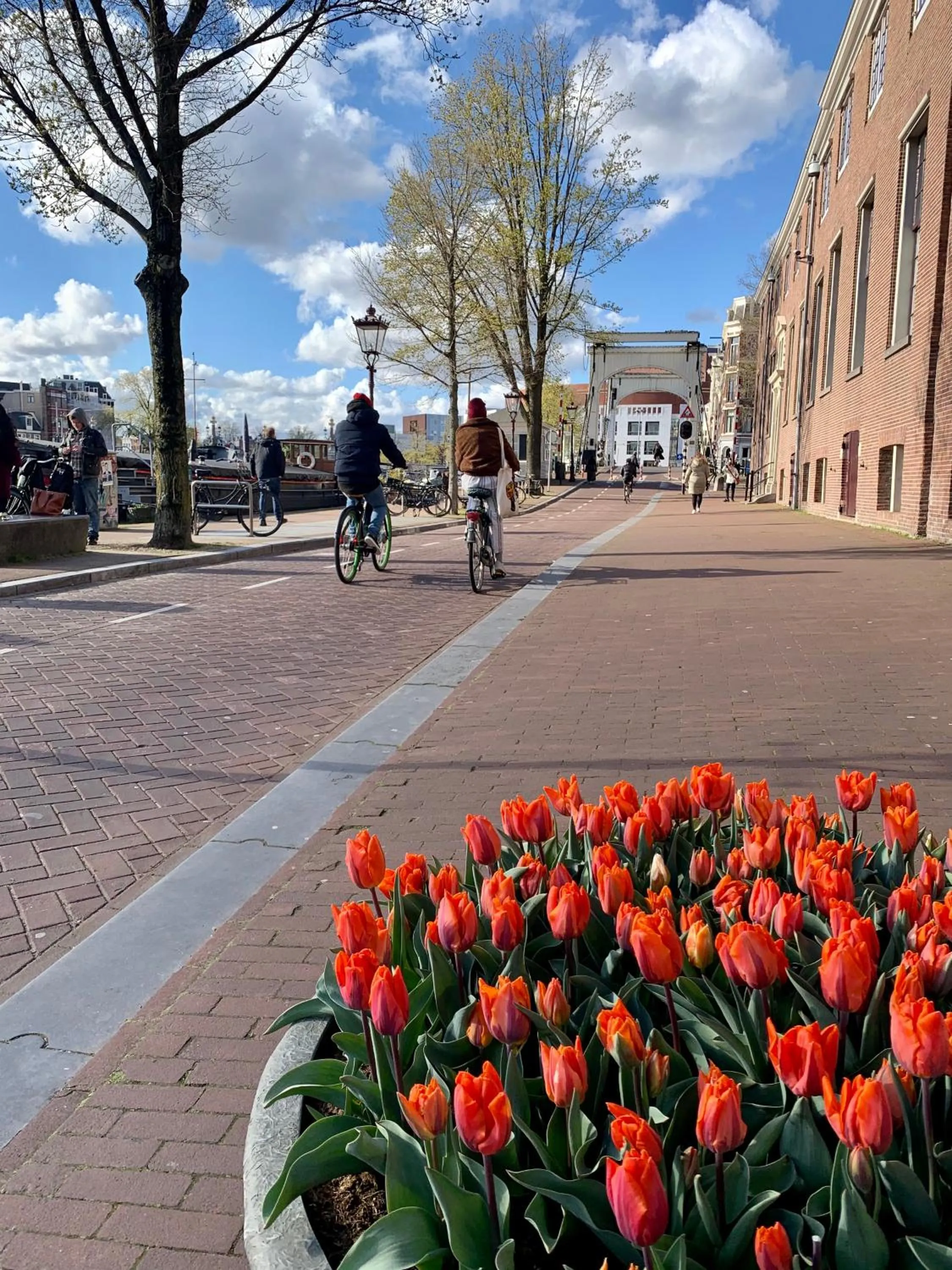 Area and facilities in Spinoza Suites