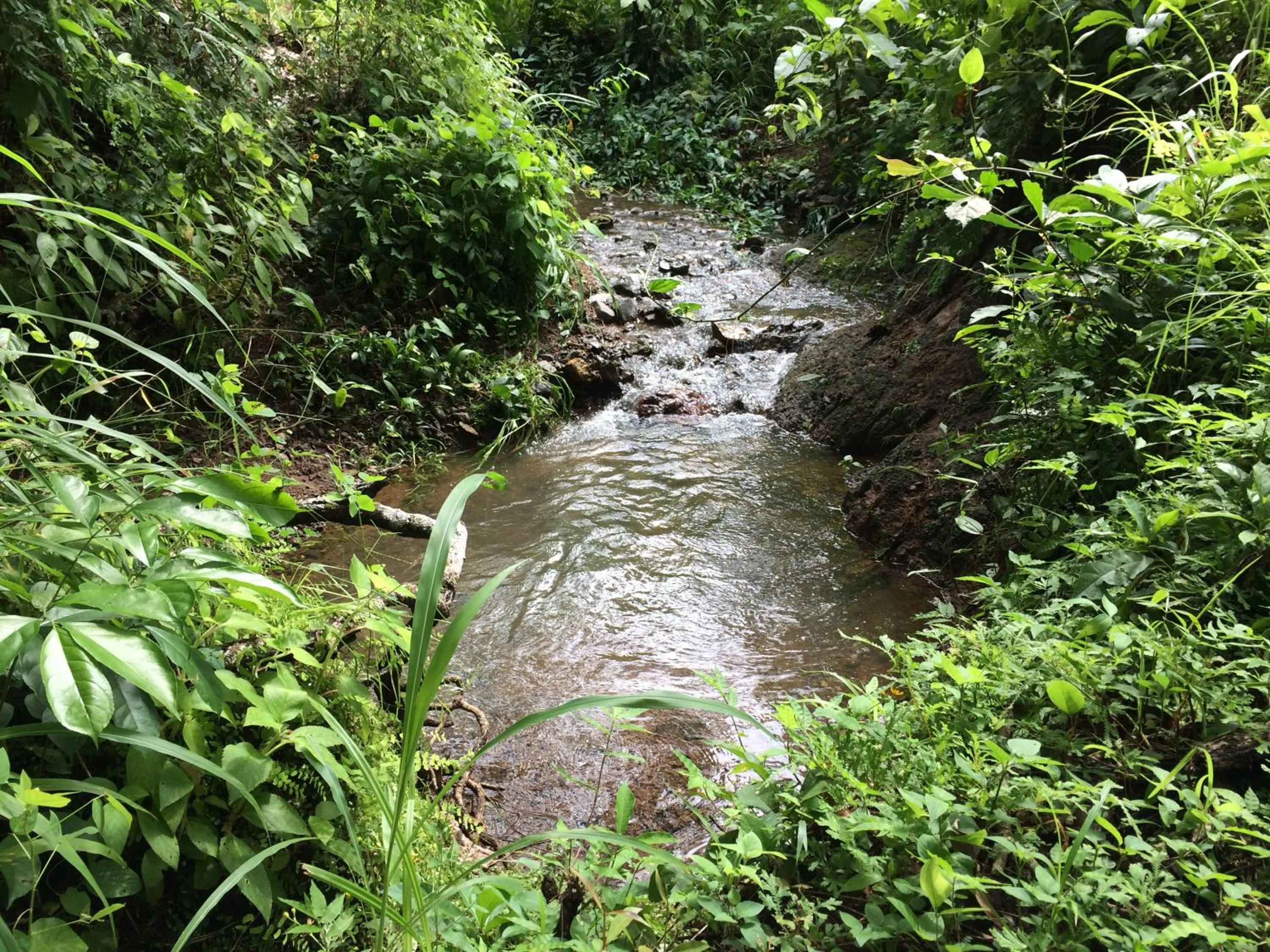 River view in Lodge Margouillat