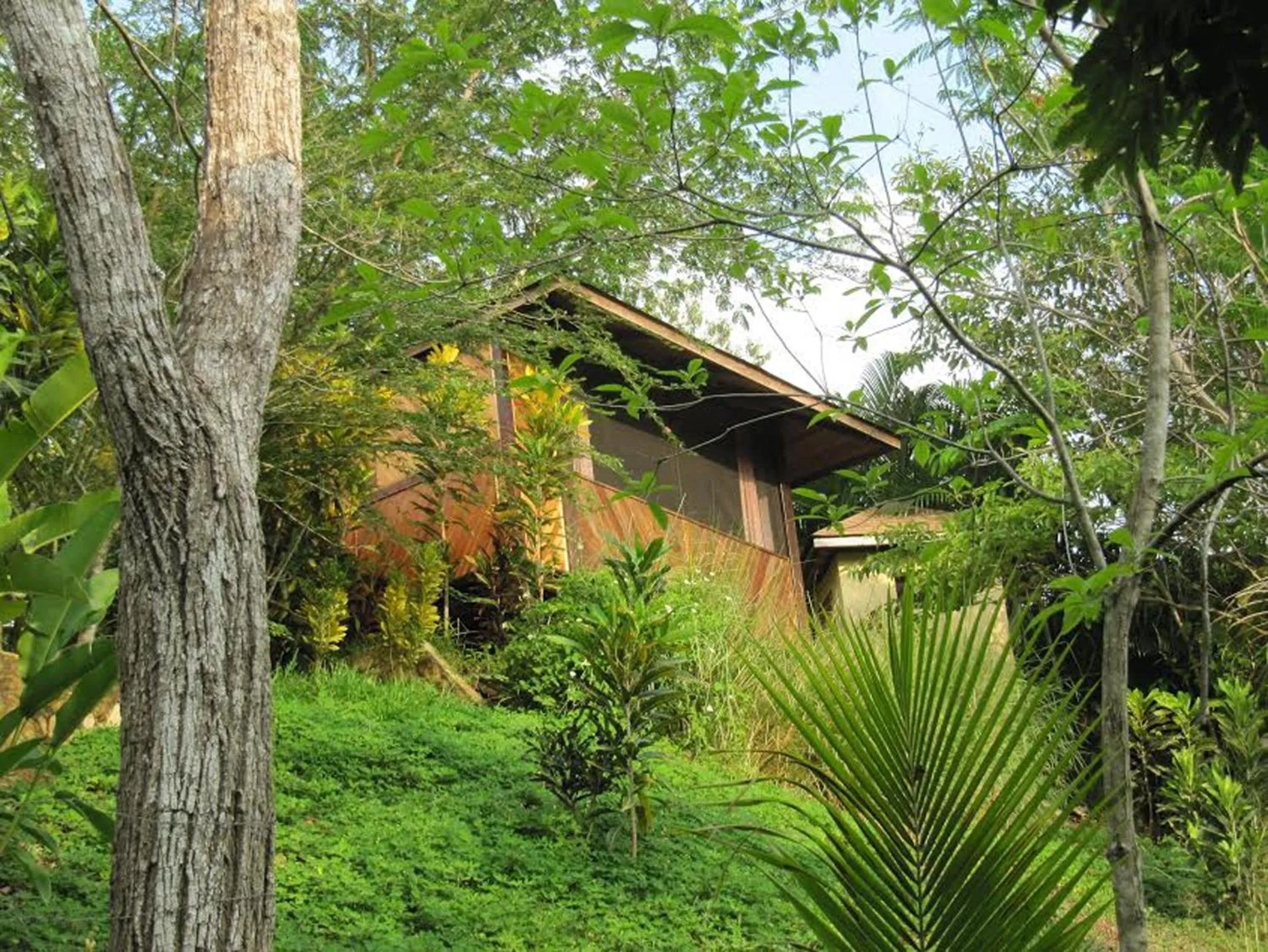 Facade/entrance in Lodge Margouillat