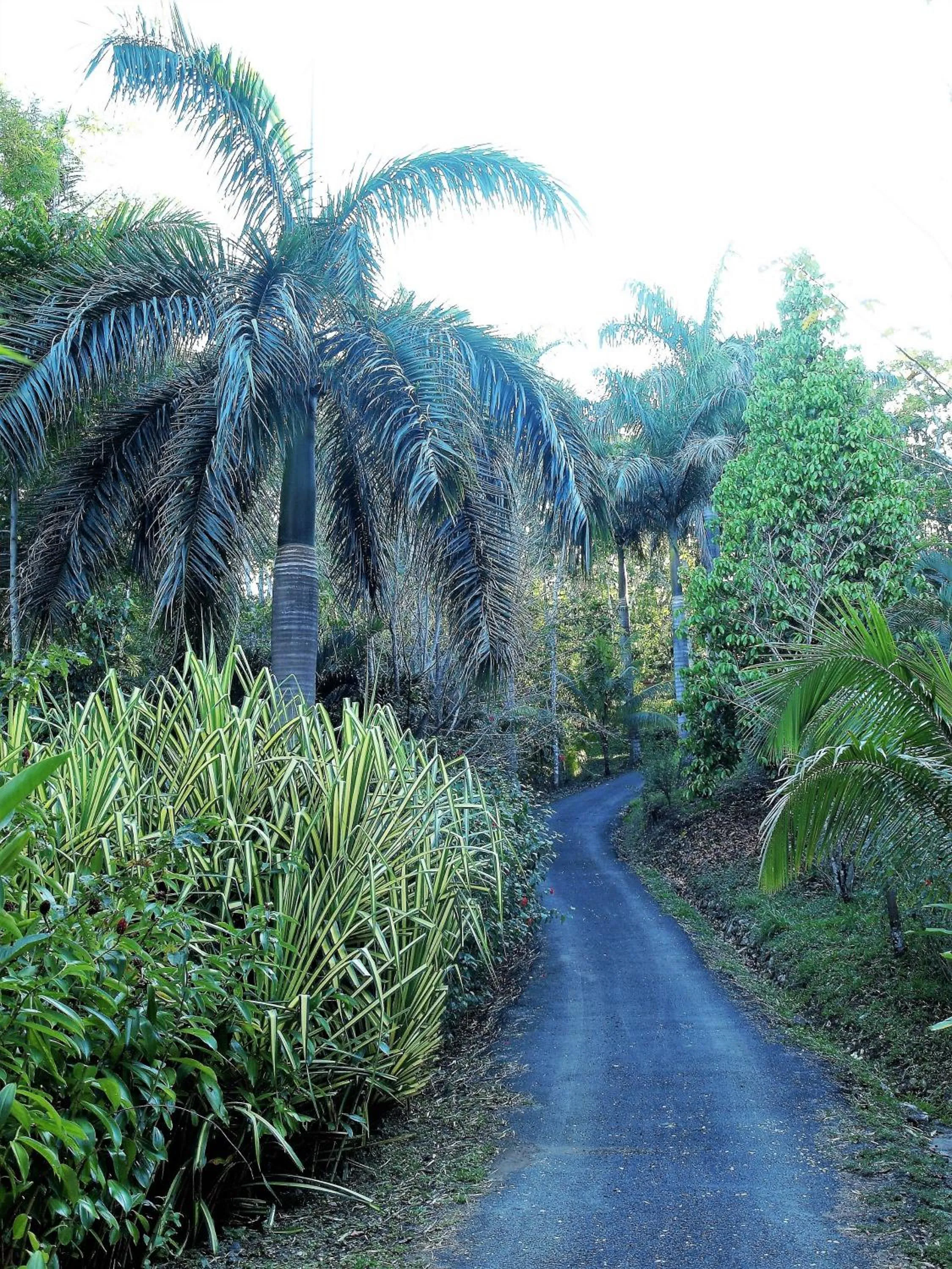 Facade/entrance in Lodge Margouillat