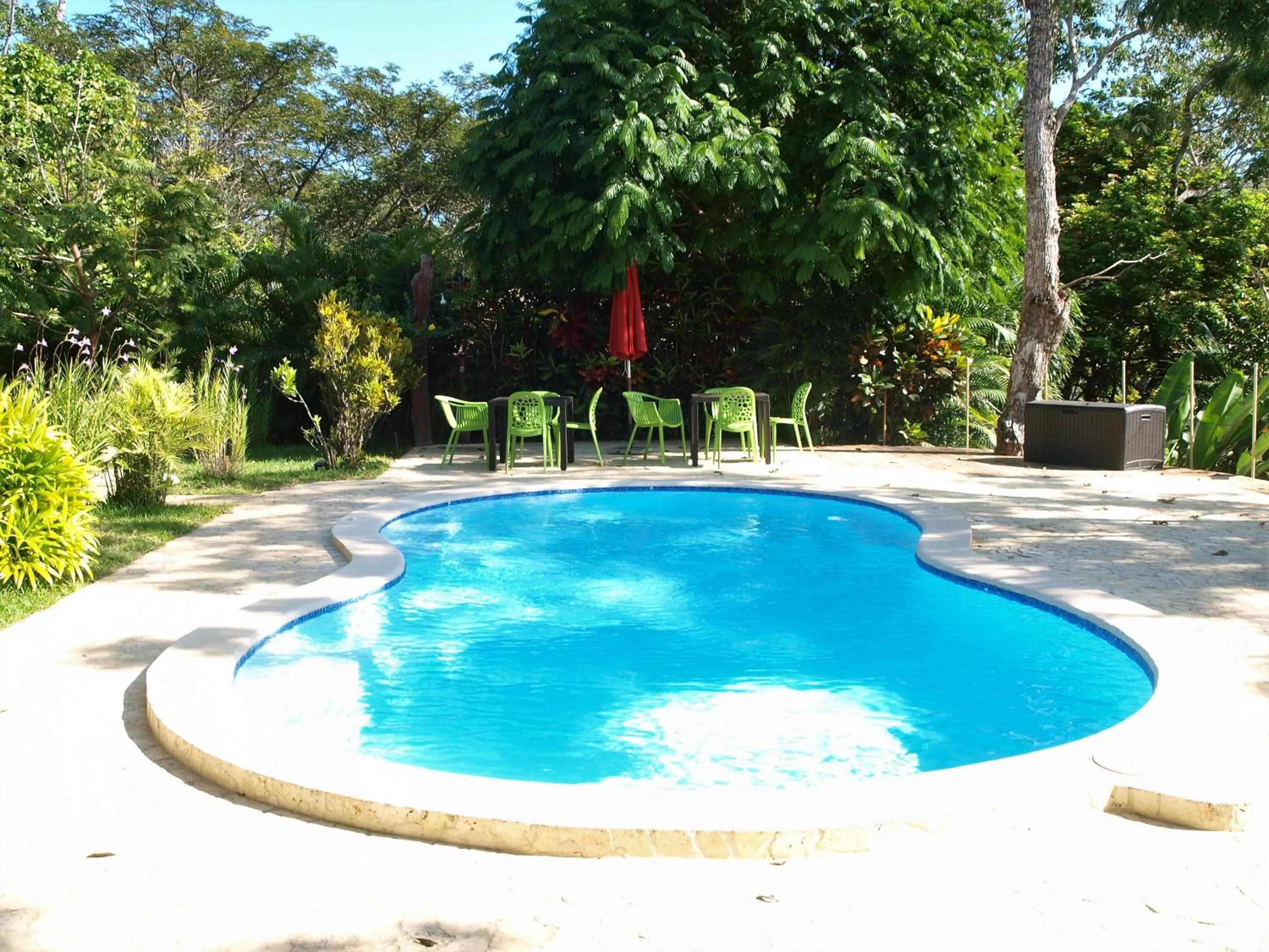 Swimming pool in Lodge Margouillat