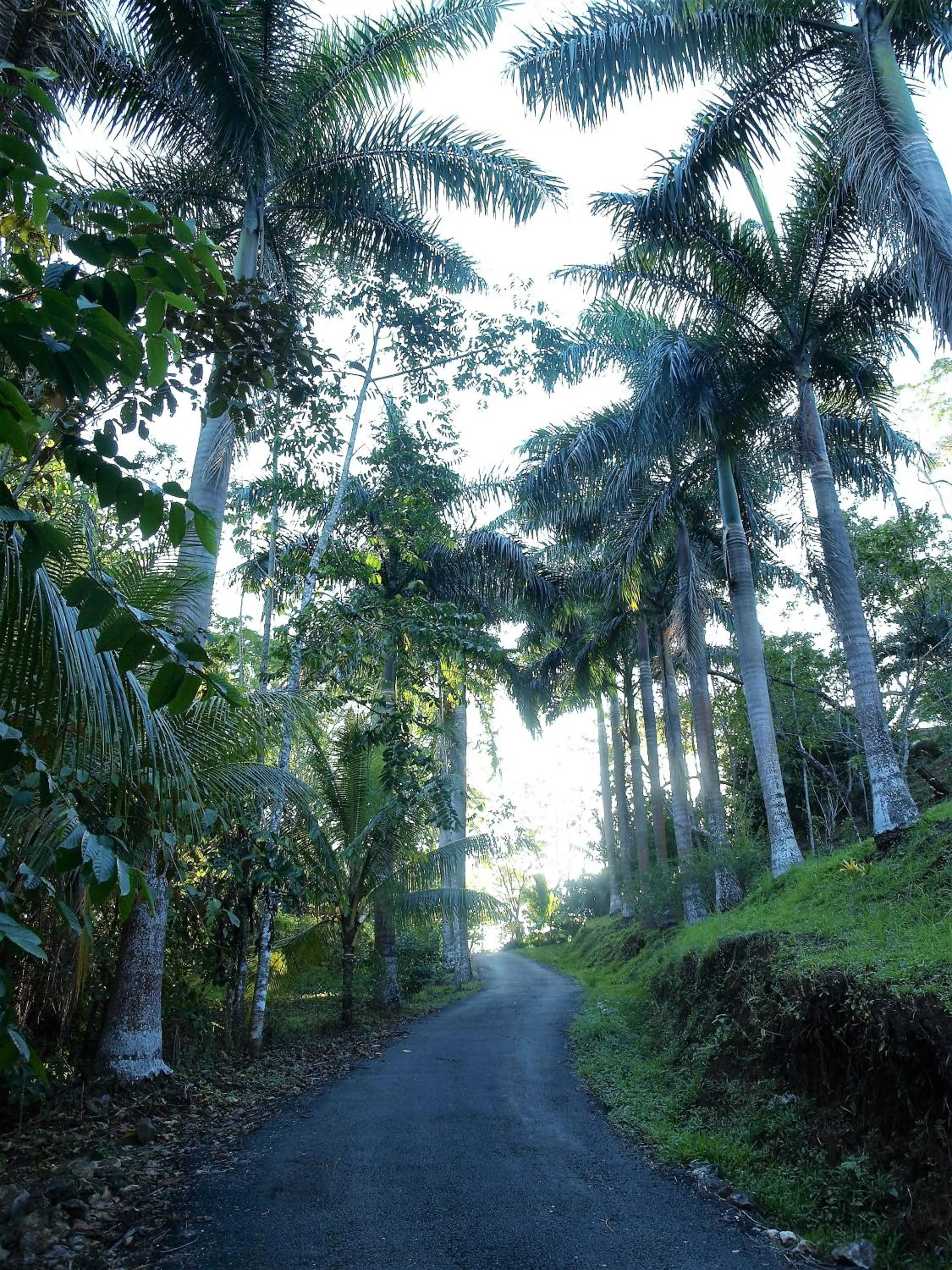 Facade/entrance in Lodge Margouillat