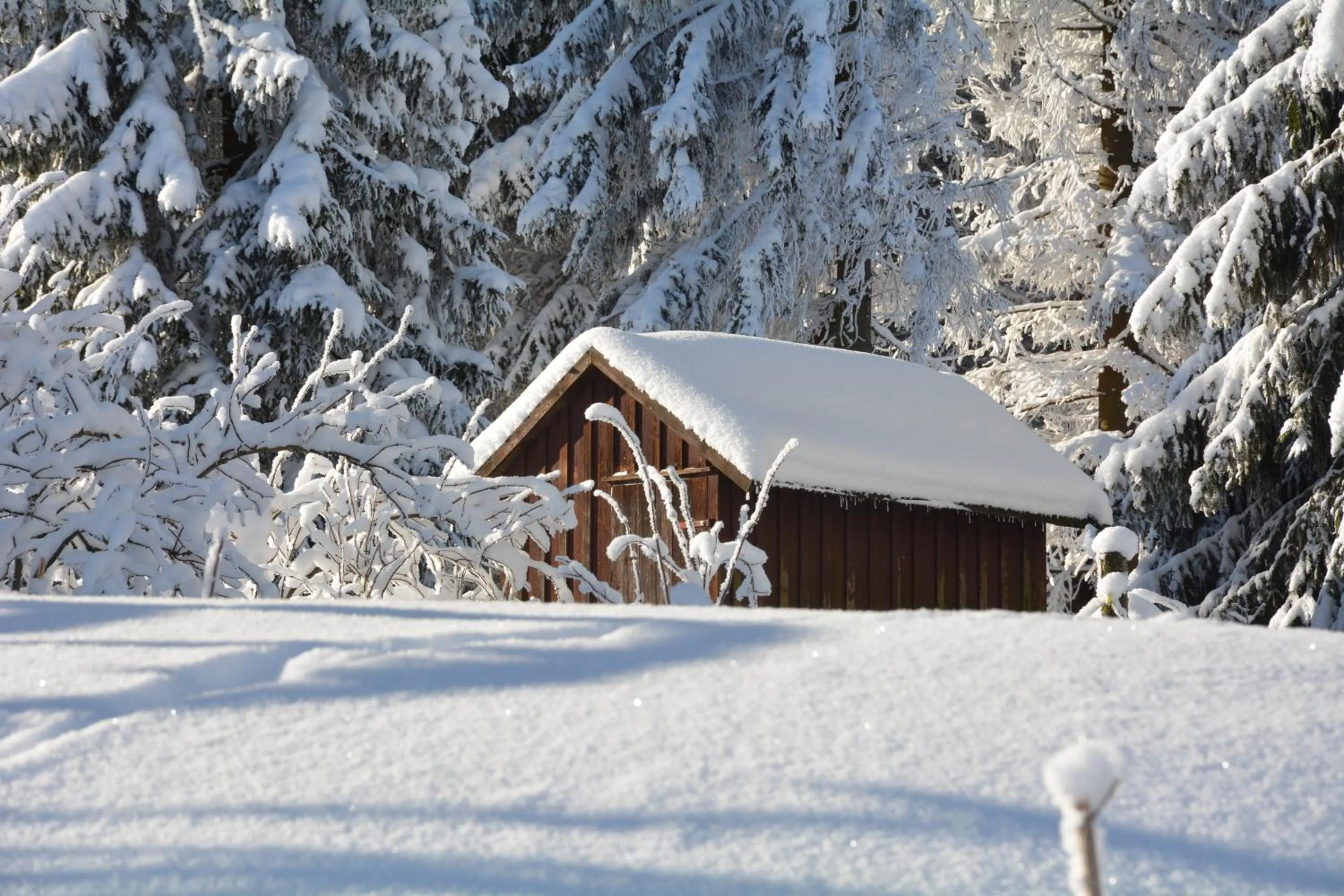 Winter in Waldgasthof Bad Einsiedel