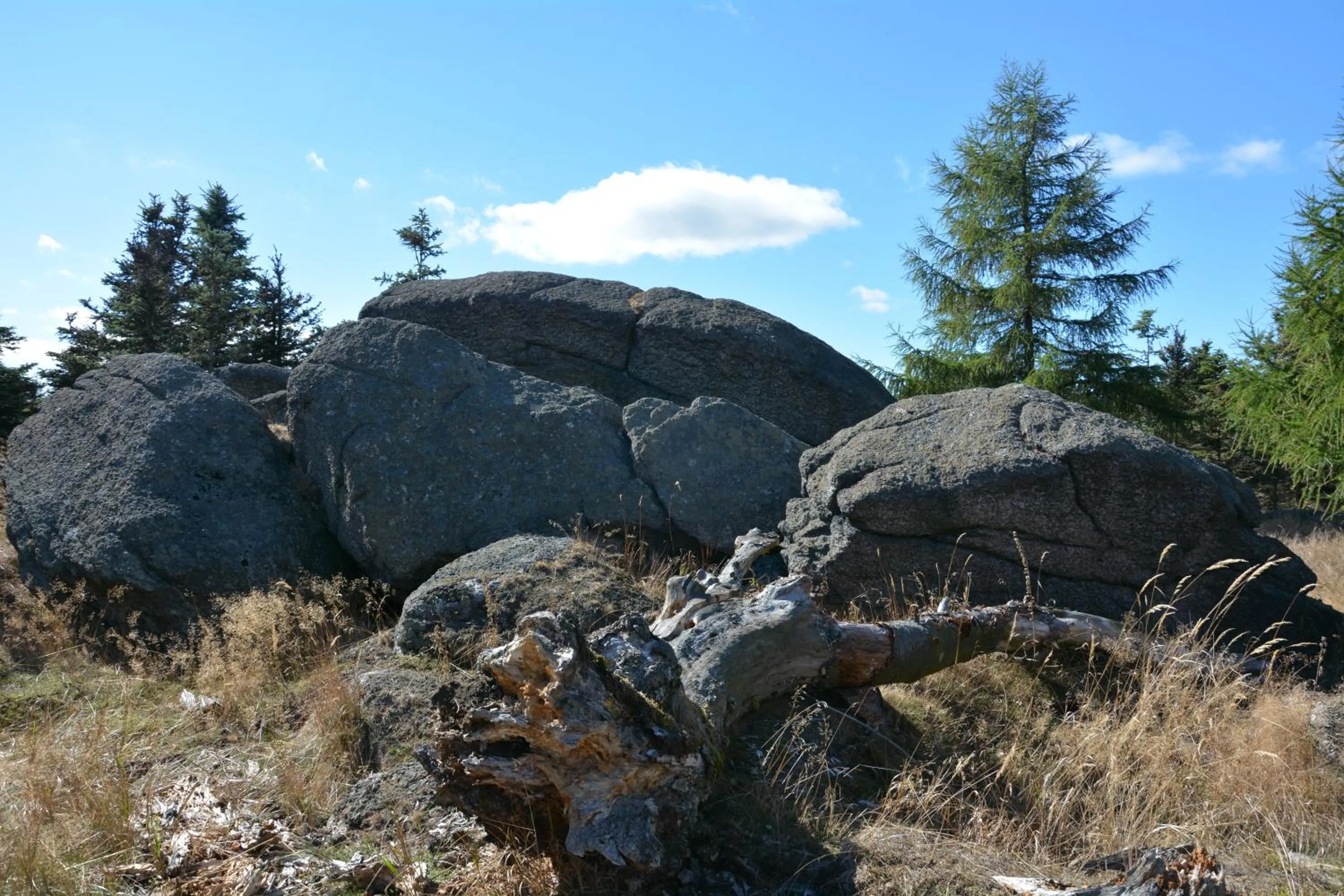 Summer in Waldgasthof Bad Einsiedel