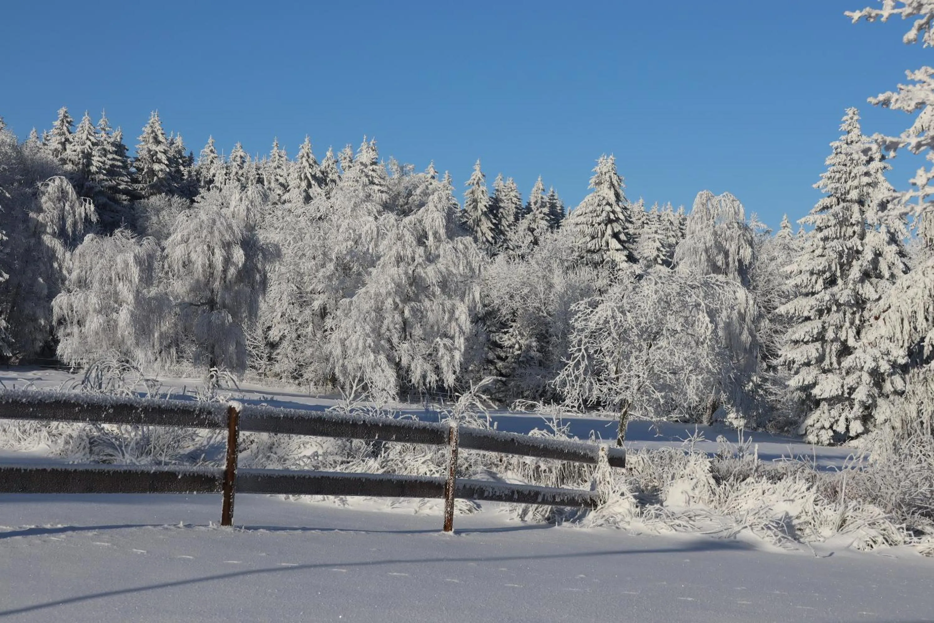 Winter in Waldgasthof Bad Einsiedel