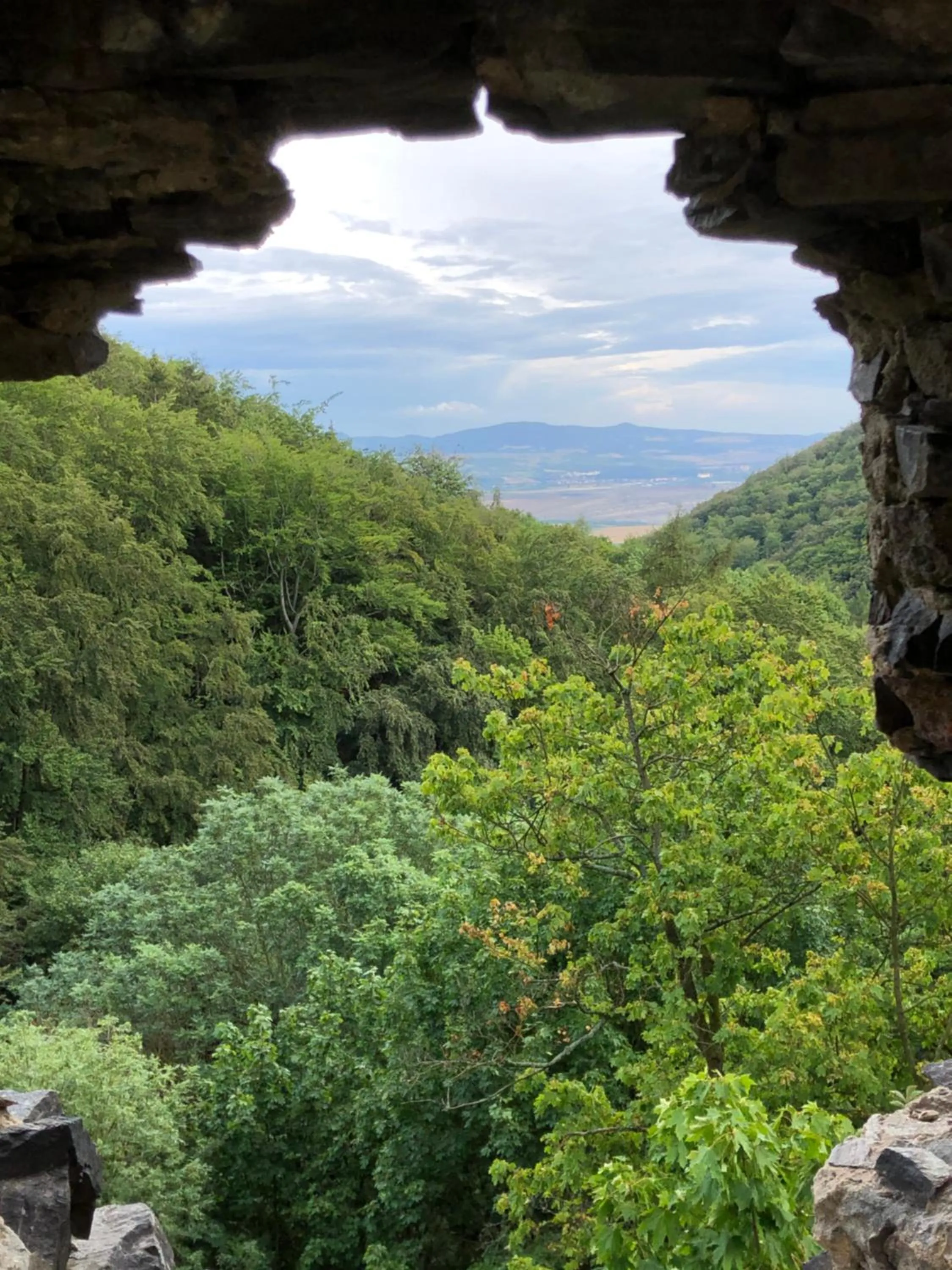 Summer in Waldgasthof Bad Einsiedel