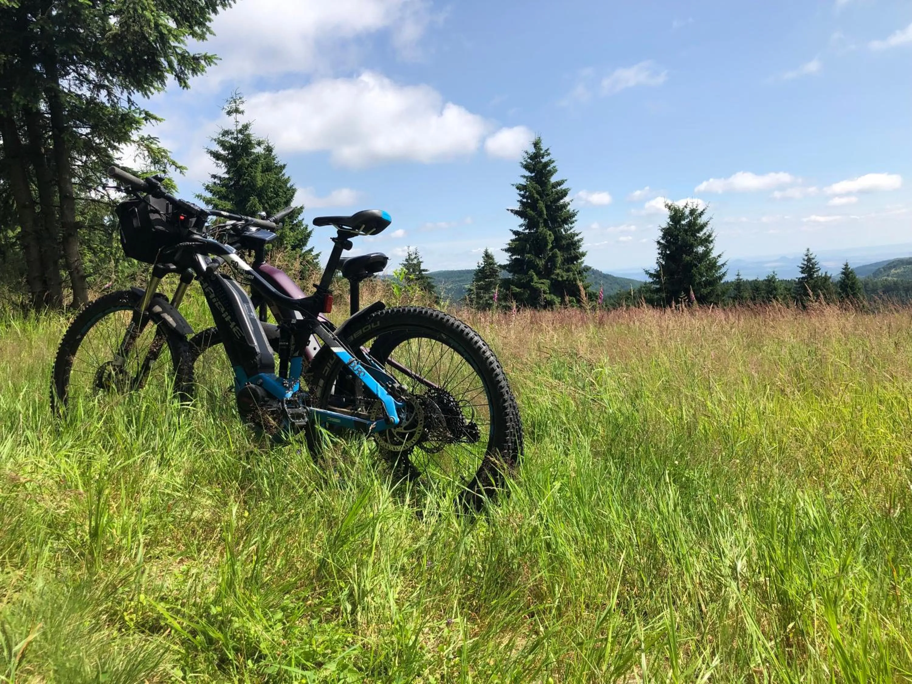 Spring in Waldgasthof Bad Einsiedel