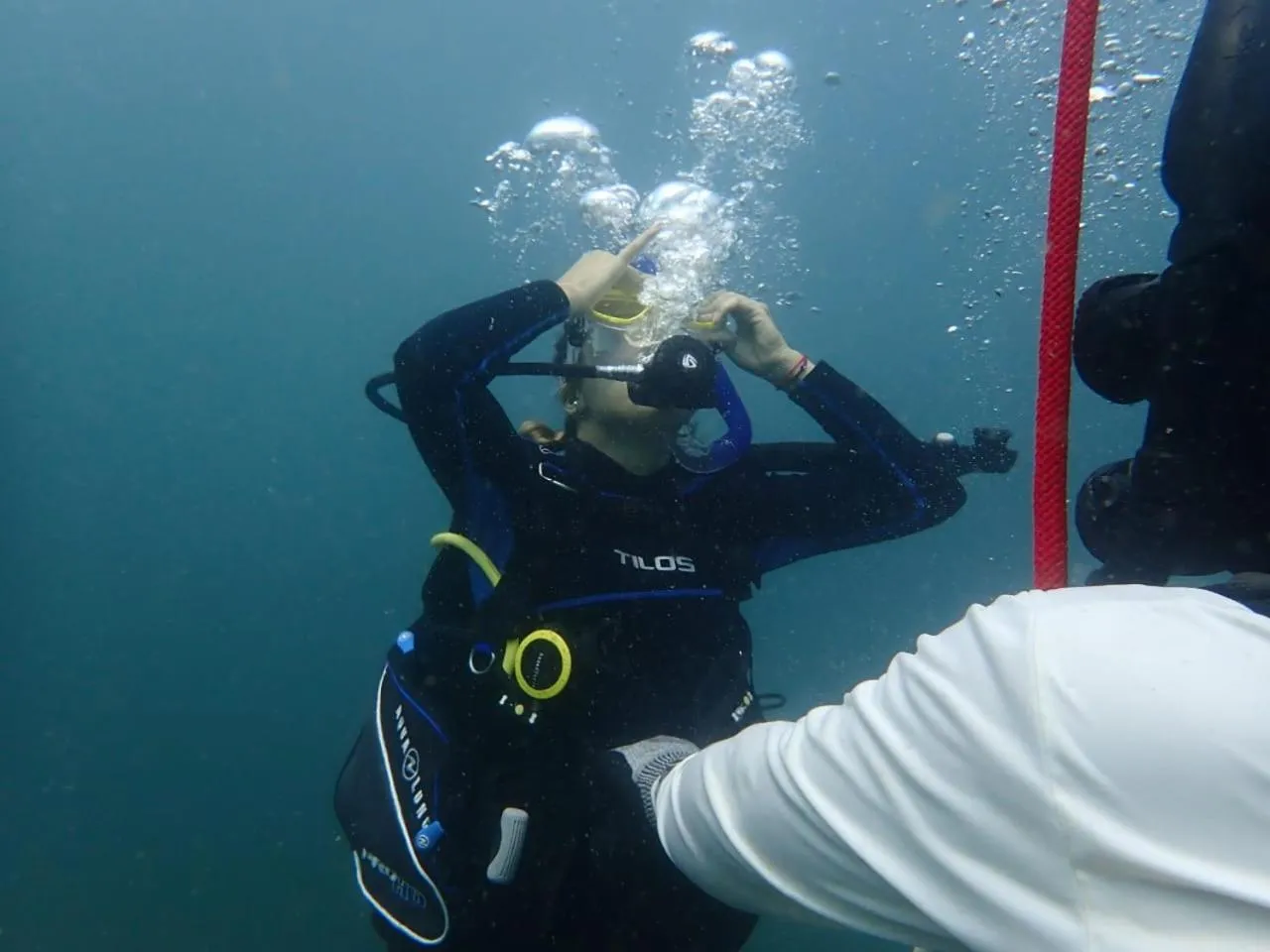 Diving in Banana Bay Marina