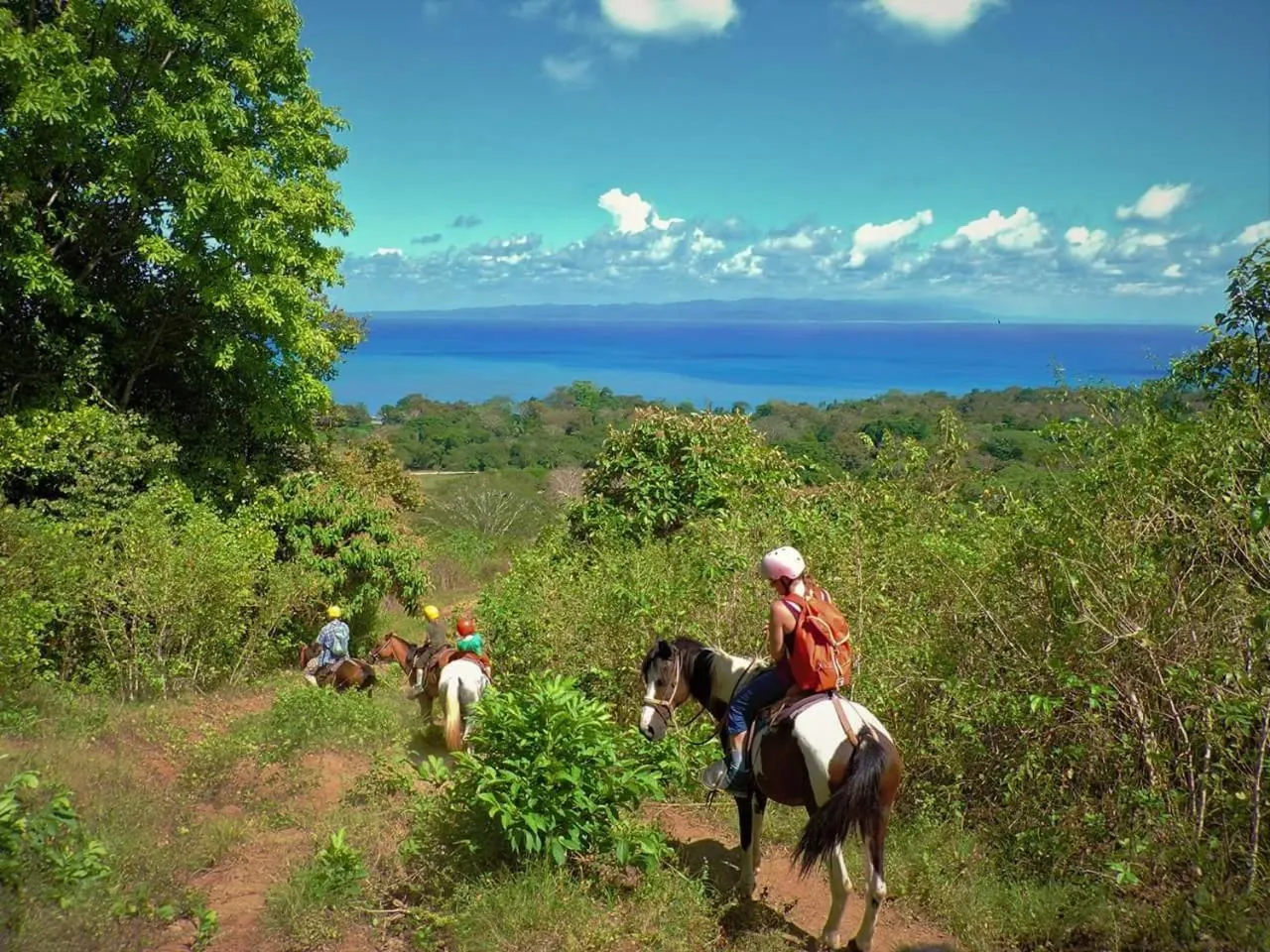 Natural landscape in Banana Bay Marina