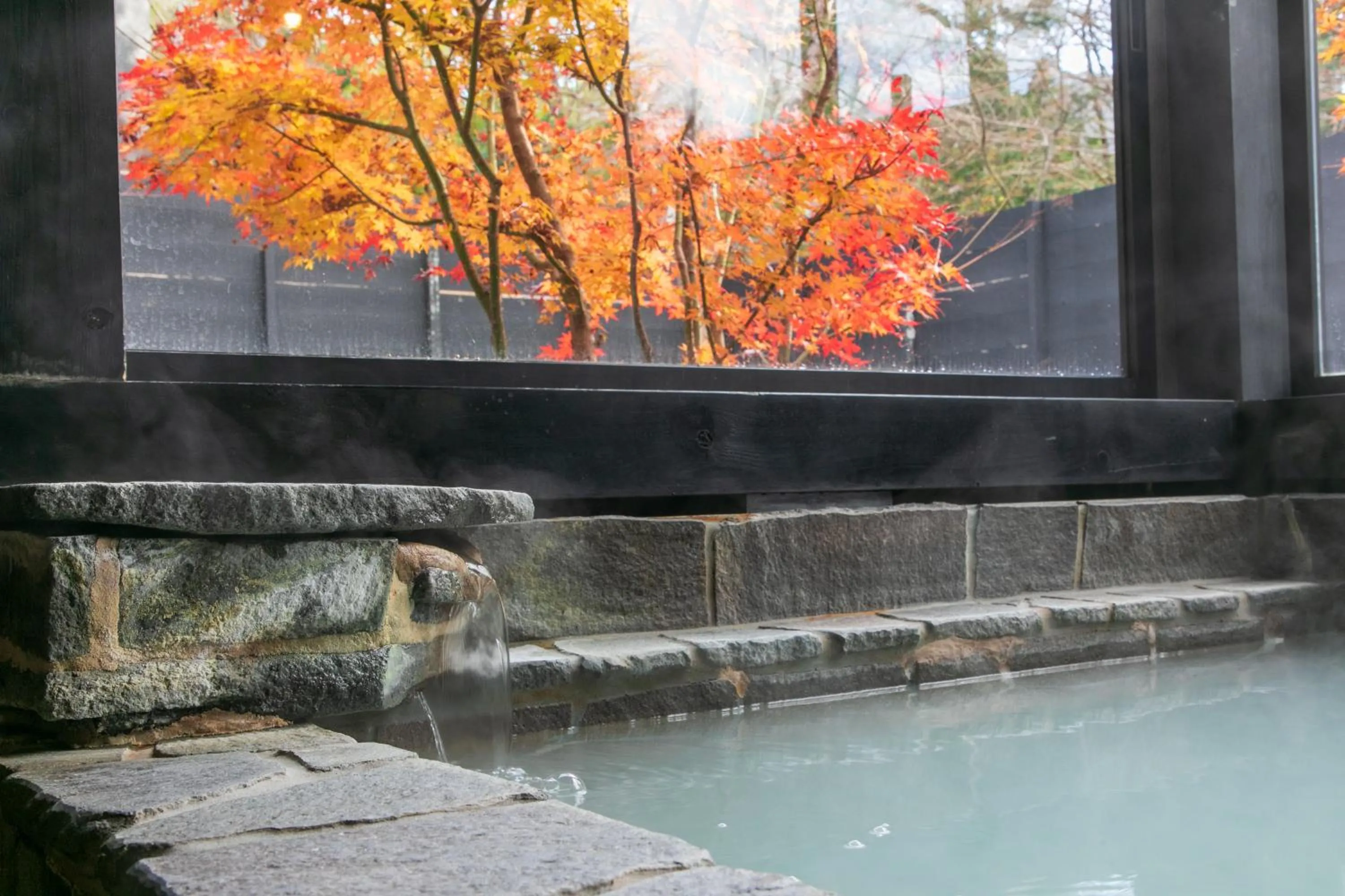 Natural landscape in Sengokuhara Hisanoha