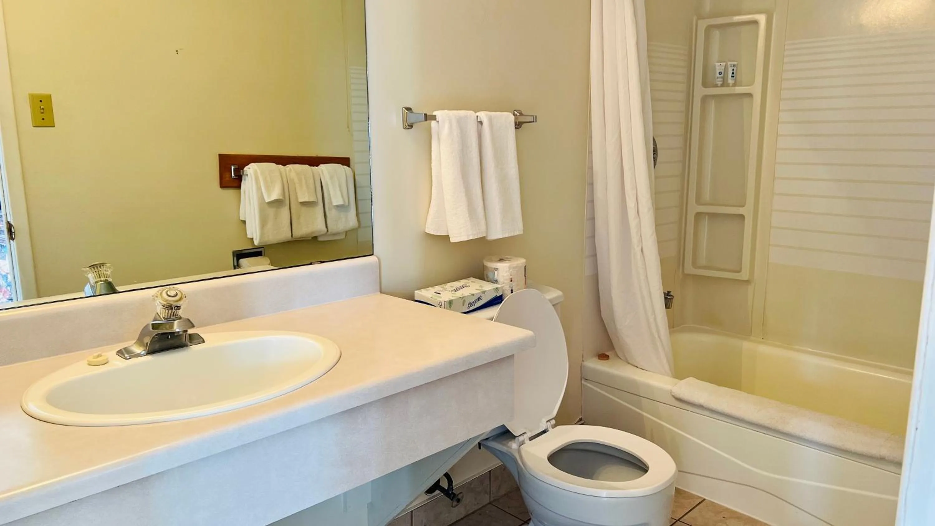 Anne Shirley Motel & Cottages