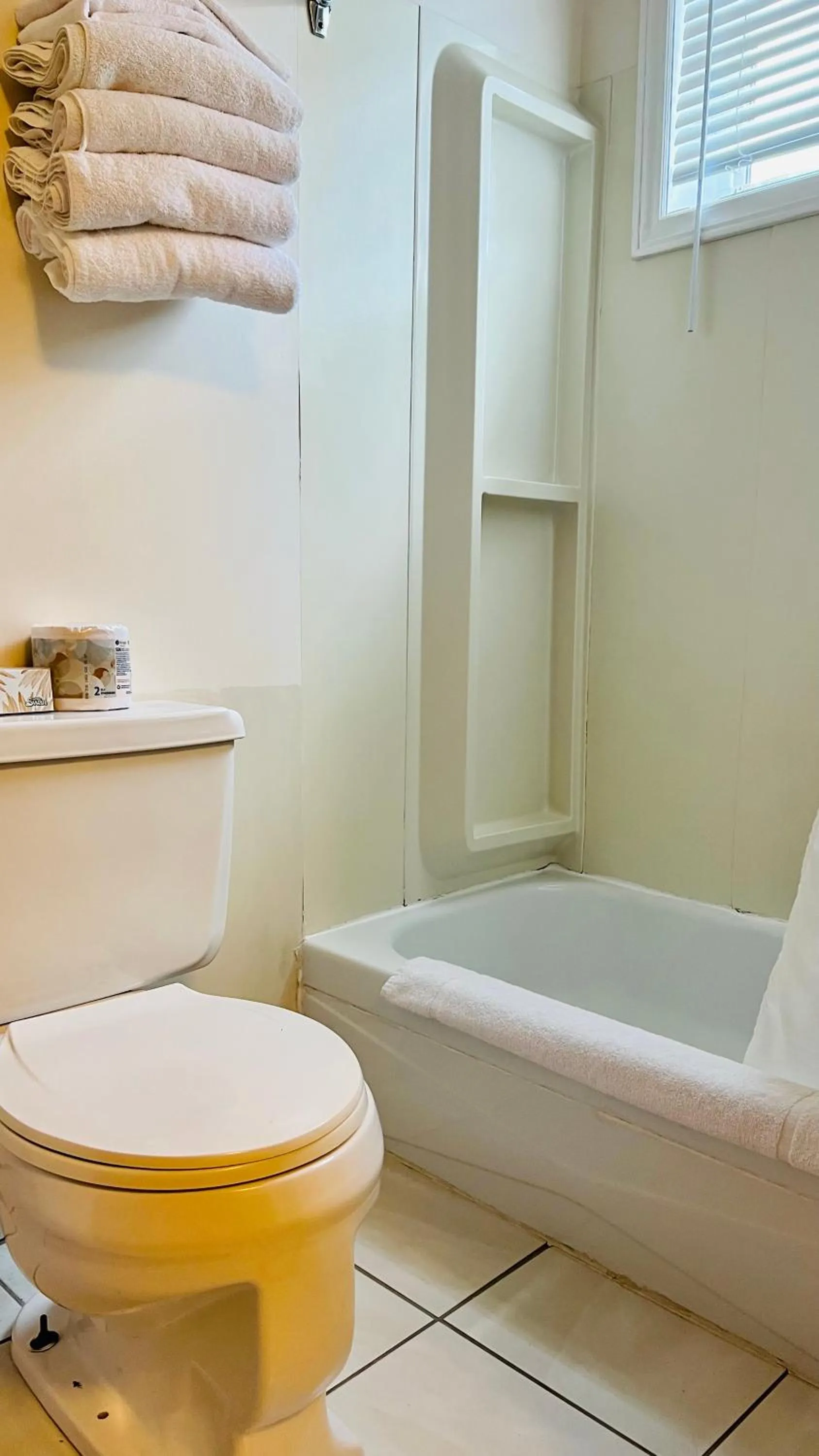 Toilet in Anne Shirley Motel & Cottages