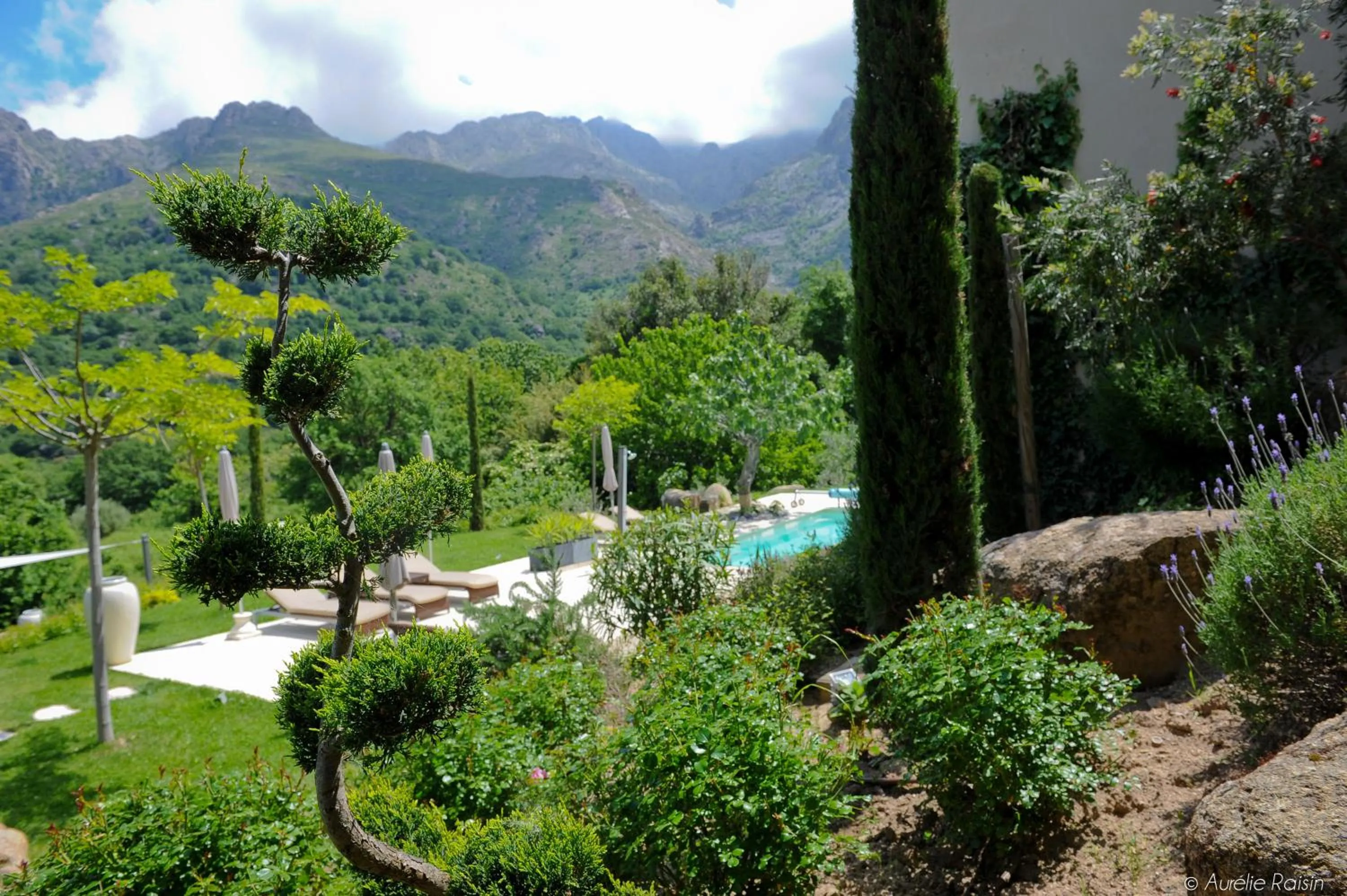 Garden in Cas'Anna Lidia - Hôtel De Charme
