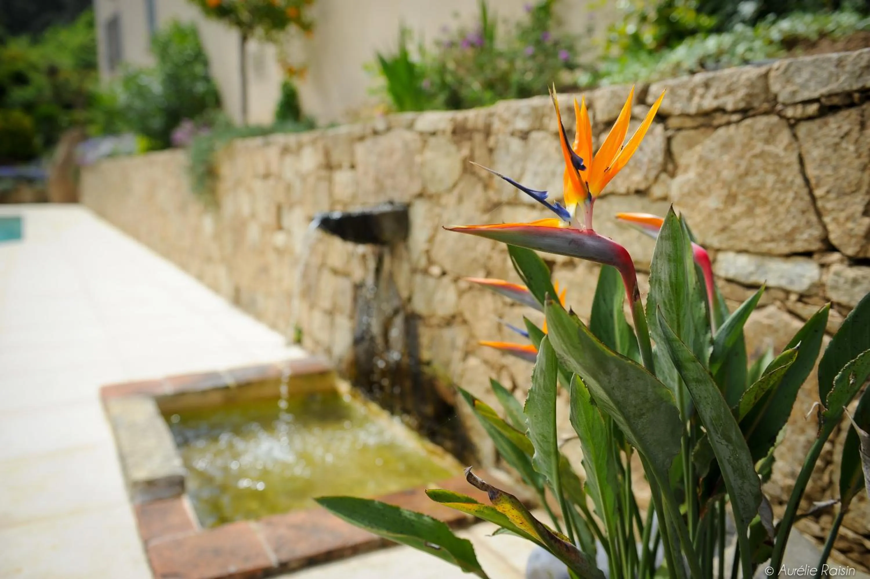 Decorative detail in Cas'Anna Lidia - Hôtel De Charme