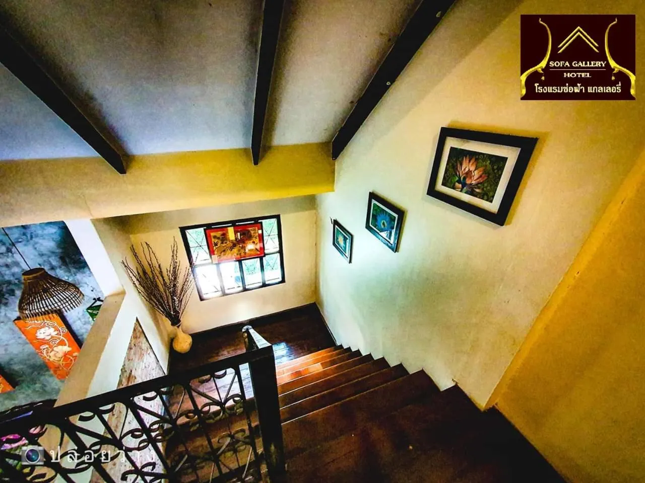 Area and facilities in Sofa Gallery Hotel