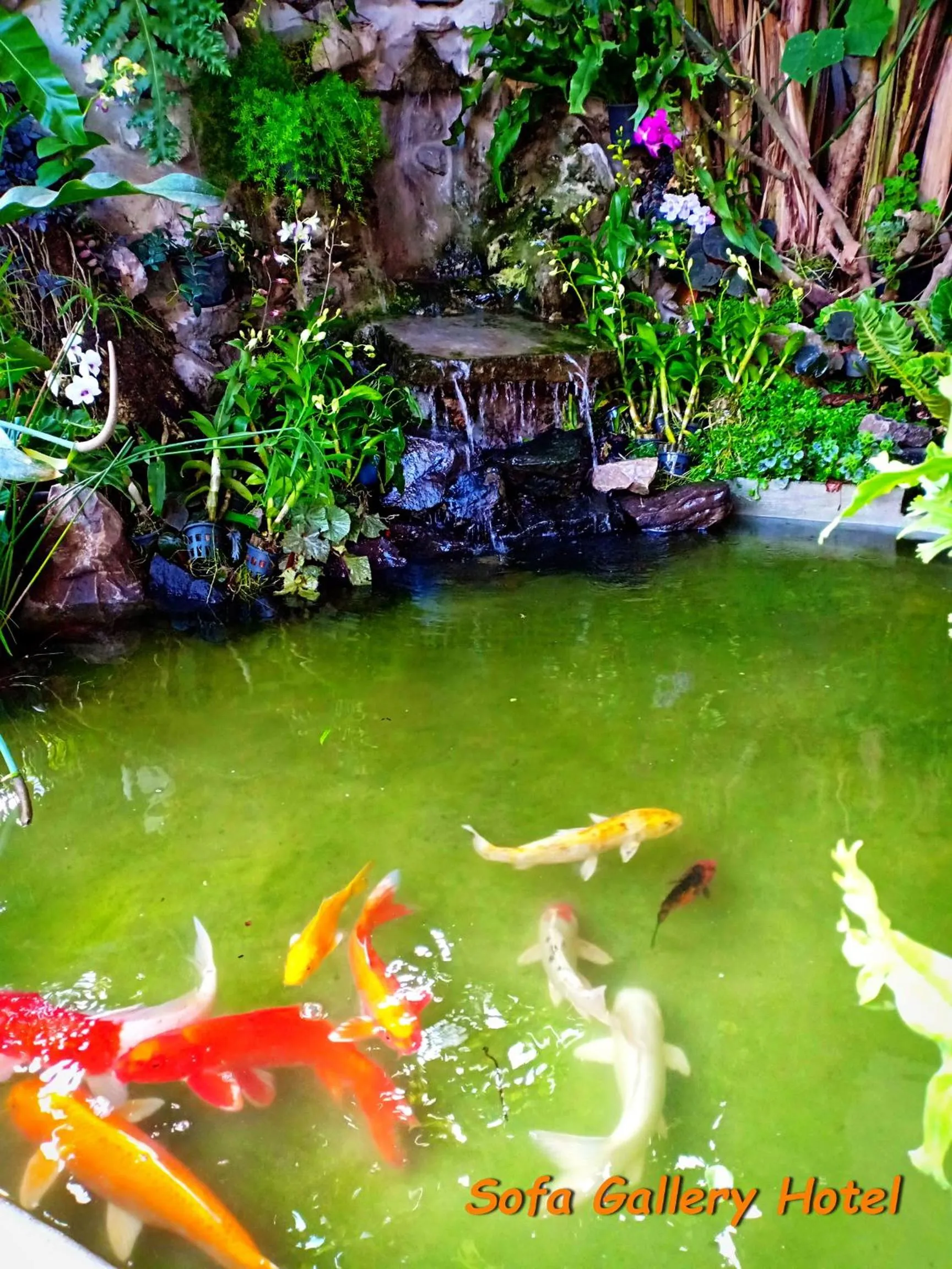 Animals in Sofa Gallery Hotel