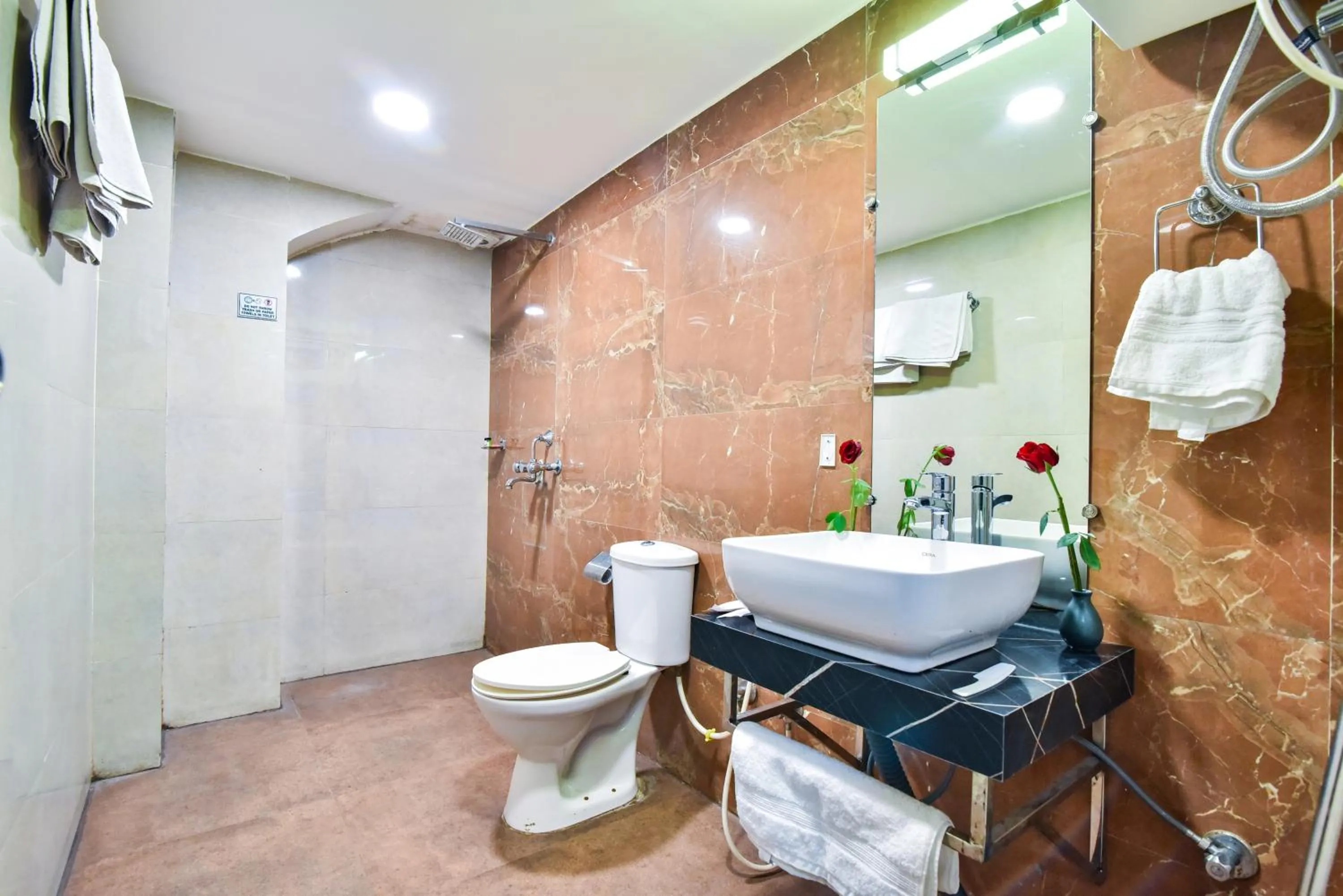 Toilet in Pinaz Royale