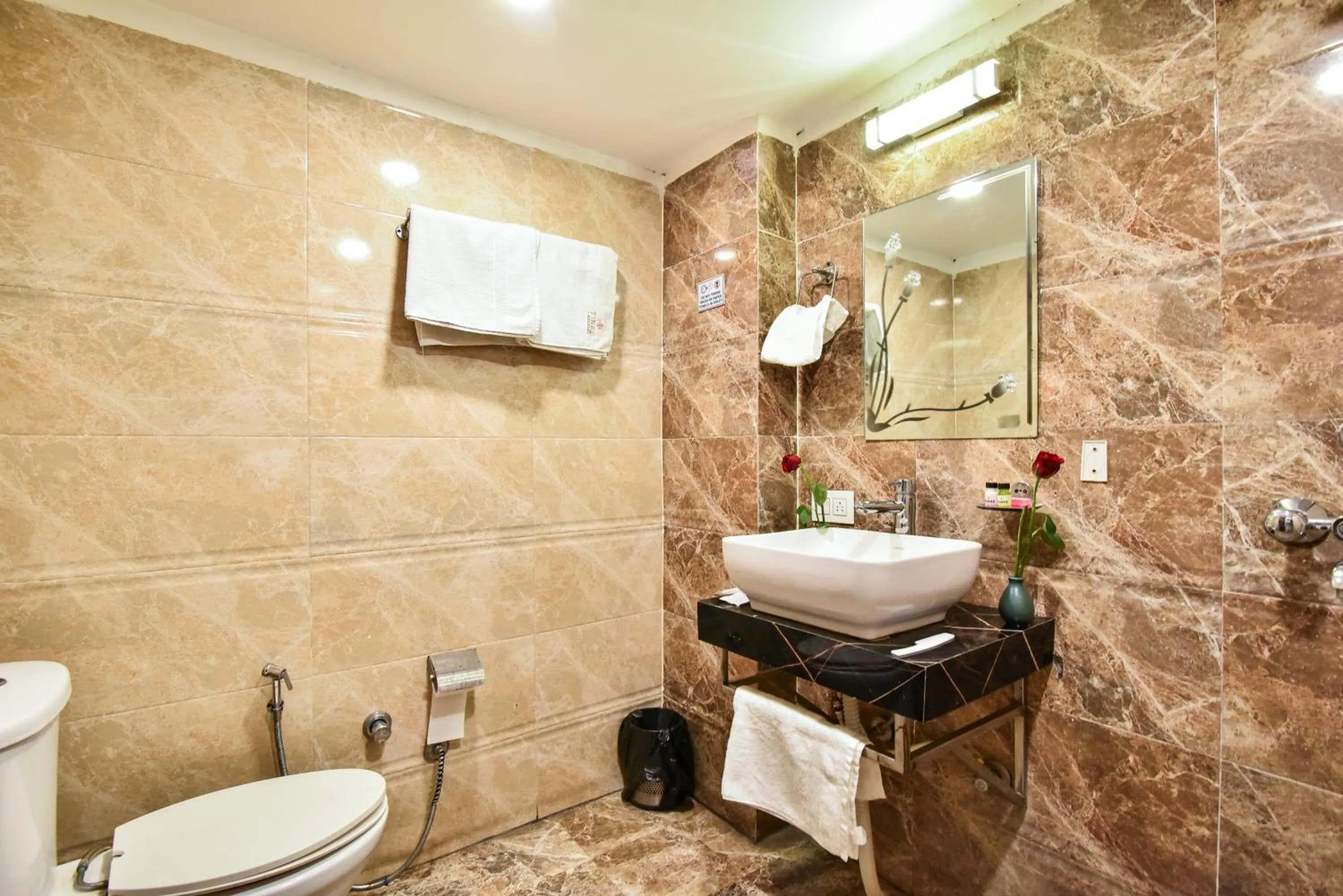 Bathroom in Pinaz Royale