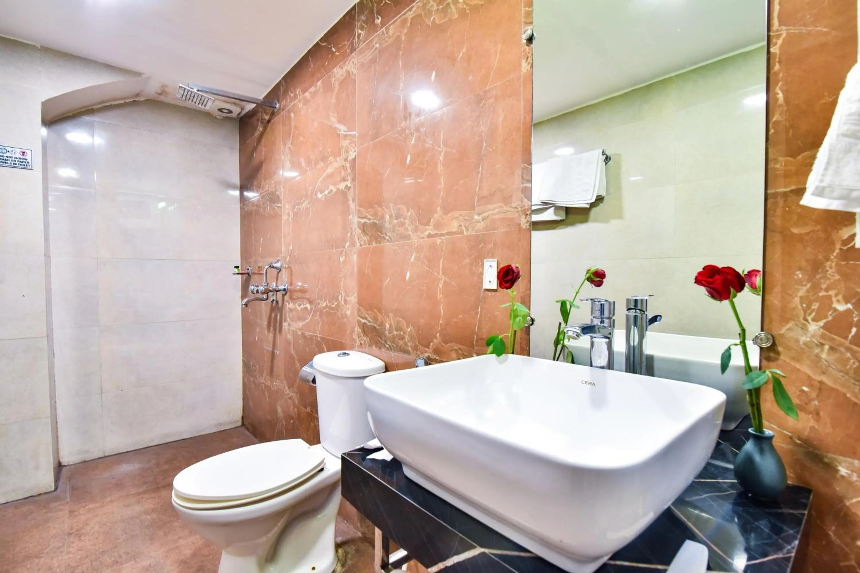 Toilet in Pinaz Royale