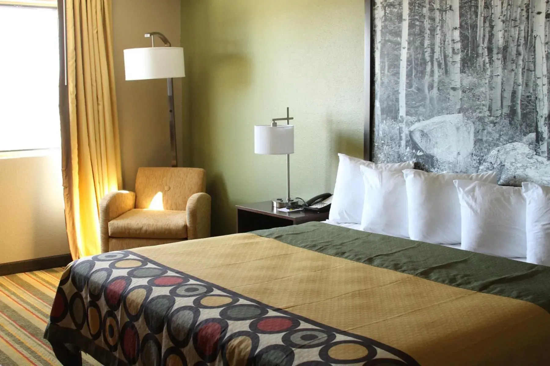 King Room - Mobility Access/Non-Smoking in Super 8 by Wyndham Montrose King Room - Mobility Access/Non-Smoking in Super 8 by Wyndham Montrose