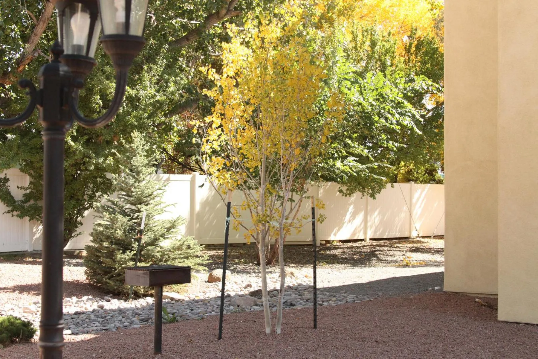 Natural landscape in Super 8 by Wyndham Montrose