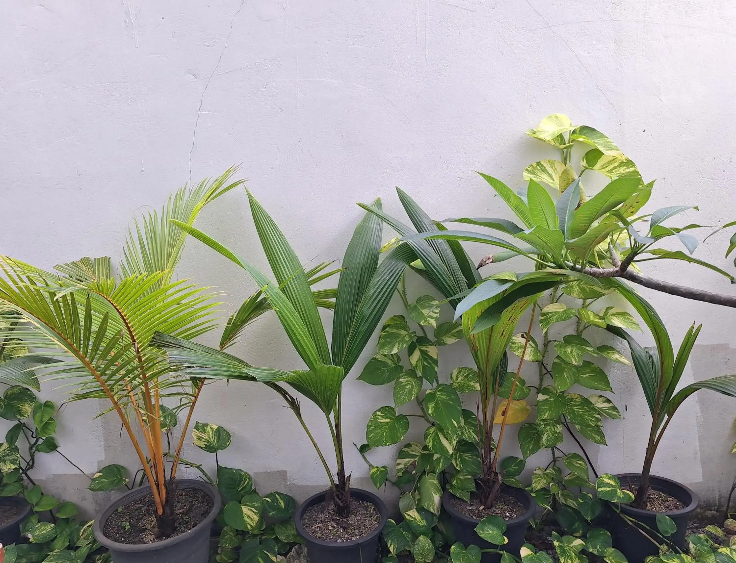 Deluxe Double or Twin Room with Garden View in Thundi Village & Spa Deluxe Double or Twin Room with Garden View in Thundi Village & Spa