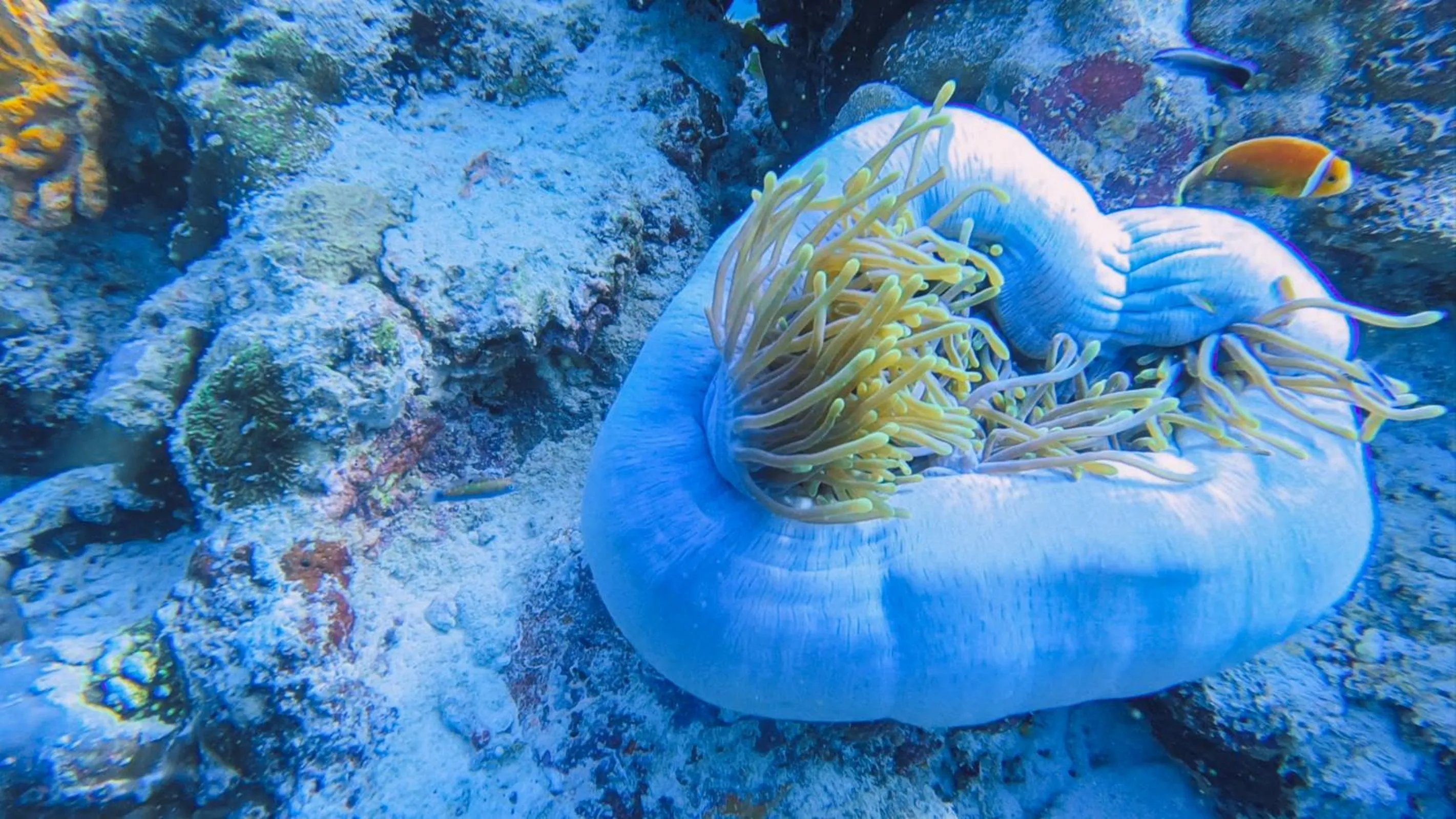 Natural landscape in Thundi Village & Spa